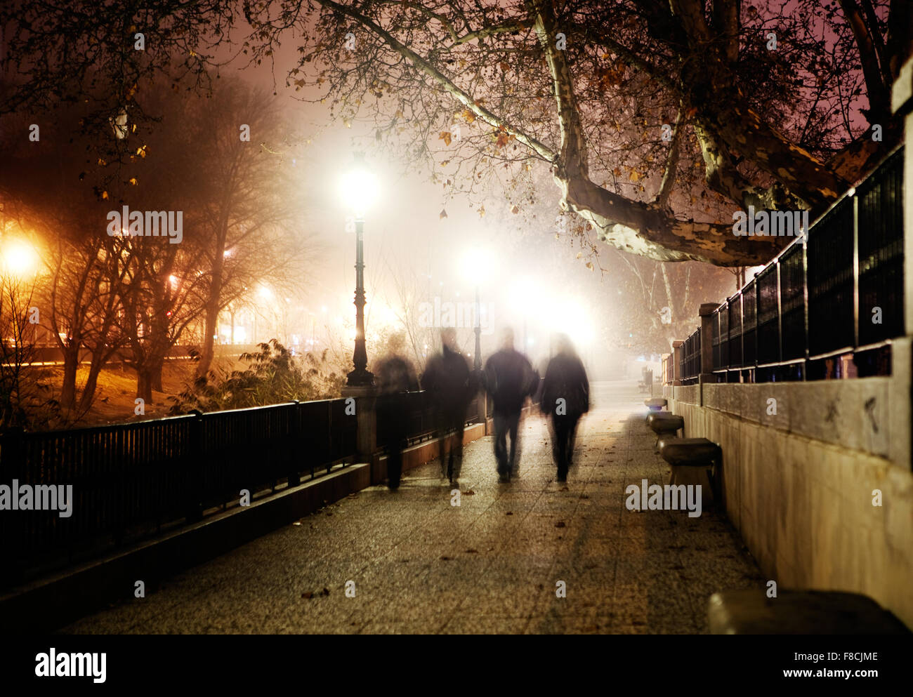 Image d'hiver de la ville de nuit et les gens qui marchent Banque D'Images