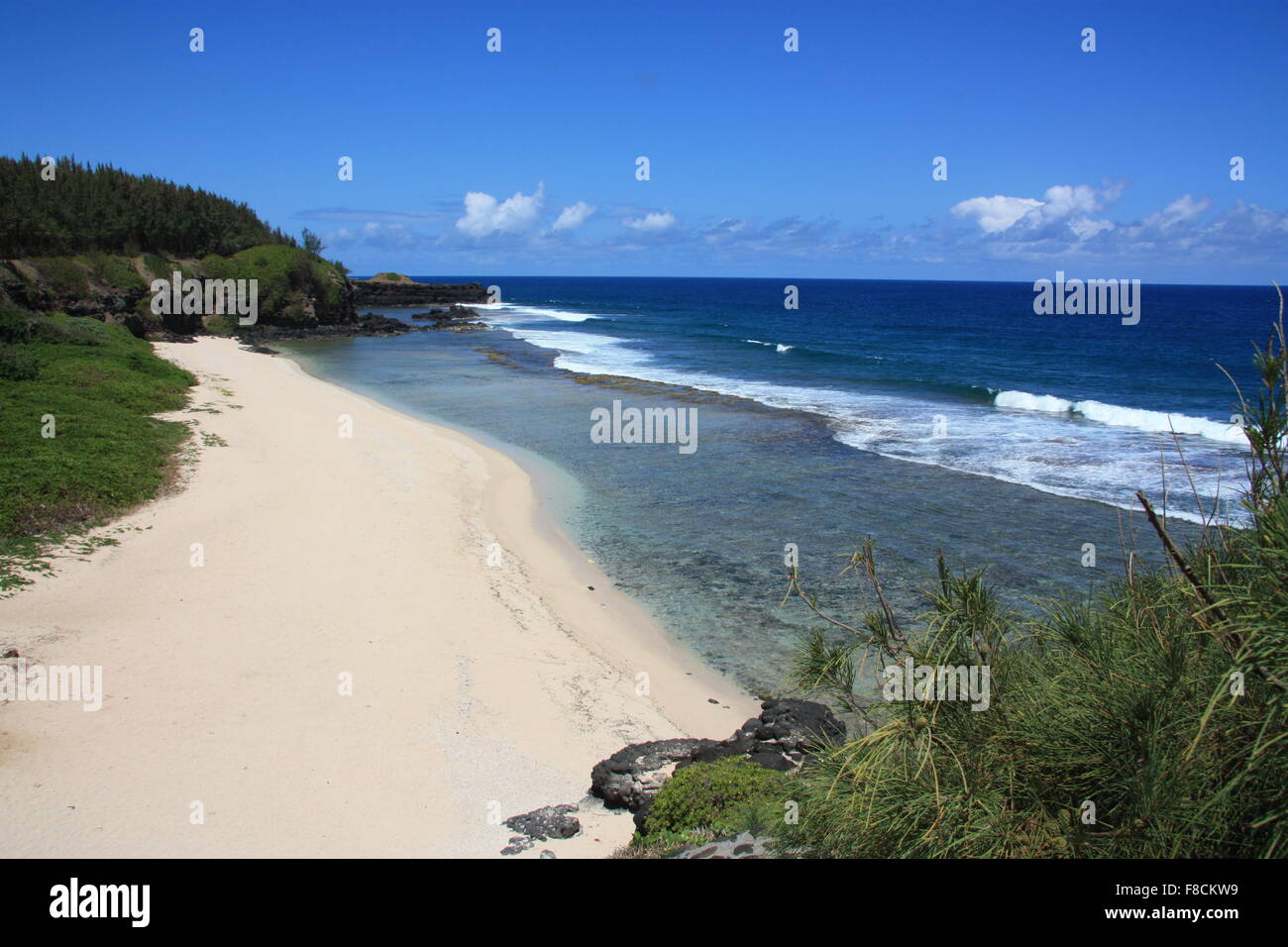 Plage sauvage. L'Afrique, l'Île Maurice, océan Indien Banque D'Images