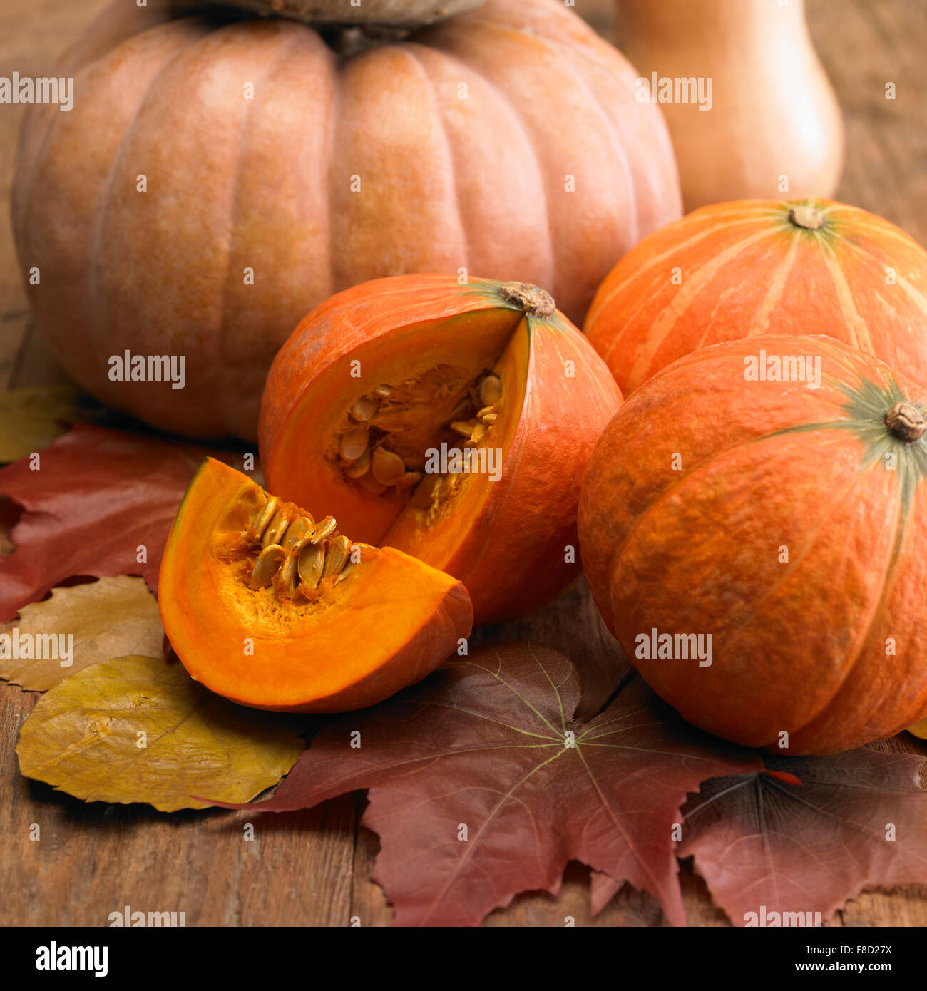 Les citrouilles et une tranche de potiron montrant son intérieur sur les feuilles tombées Banque D'Images