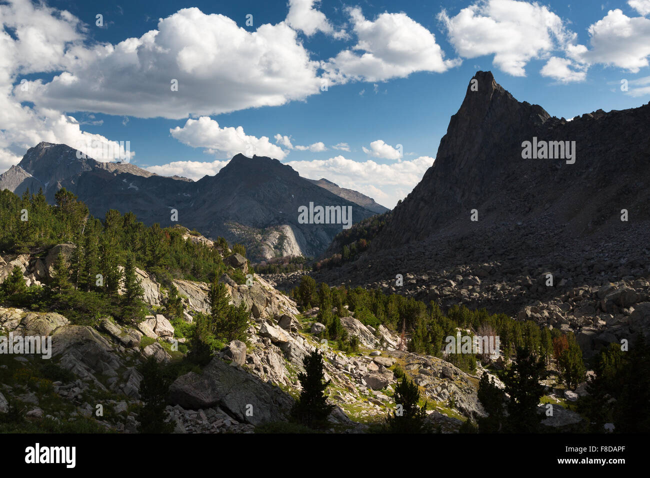 Les régions alpines de la Wind River Mountains Wilderness Bridger, Wyoming, Banque D'Images