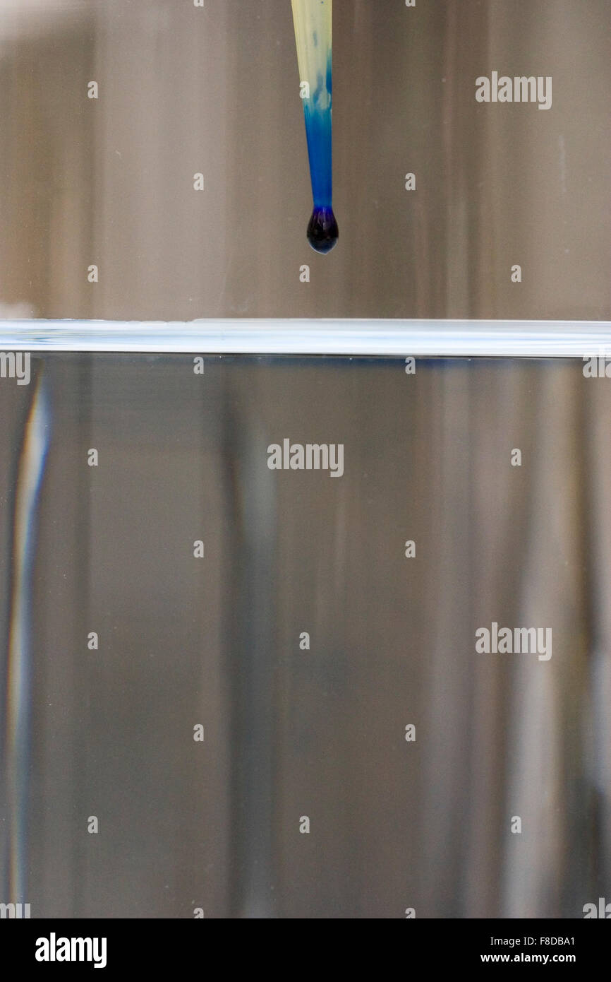 Goutte de colorant bleu sur le point de tomber dans un bécher d'eau. Un certain nombre de quatre séries en diffusion. Banque D'Images