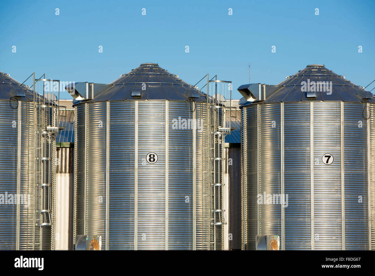 Groupe des silos à grains en Uruguay avec ciel bleu Banque D'Images