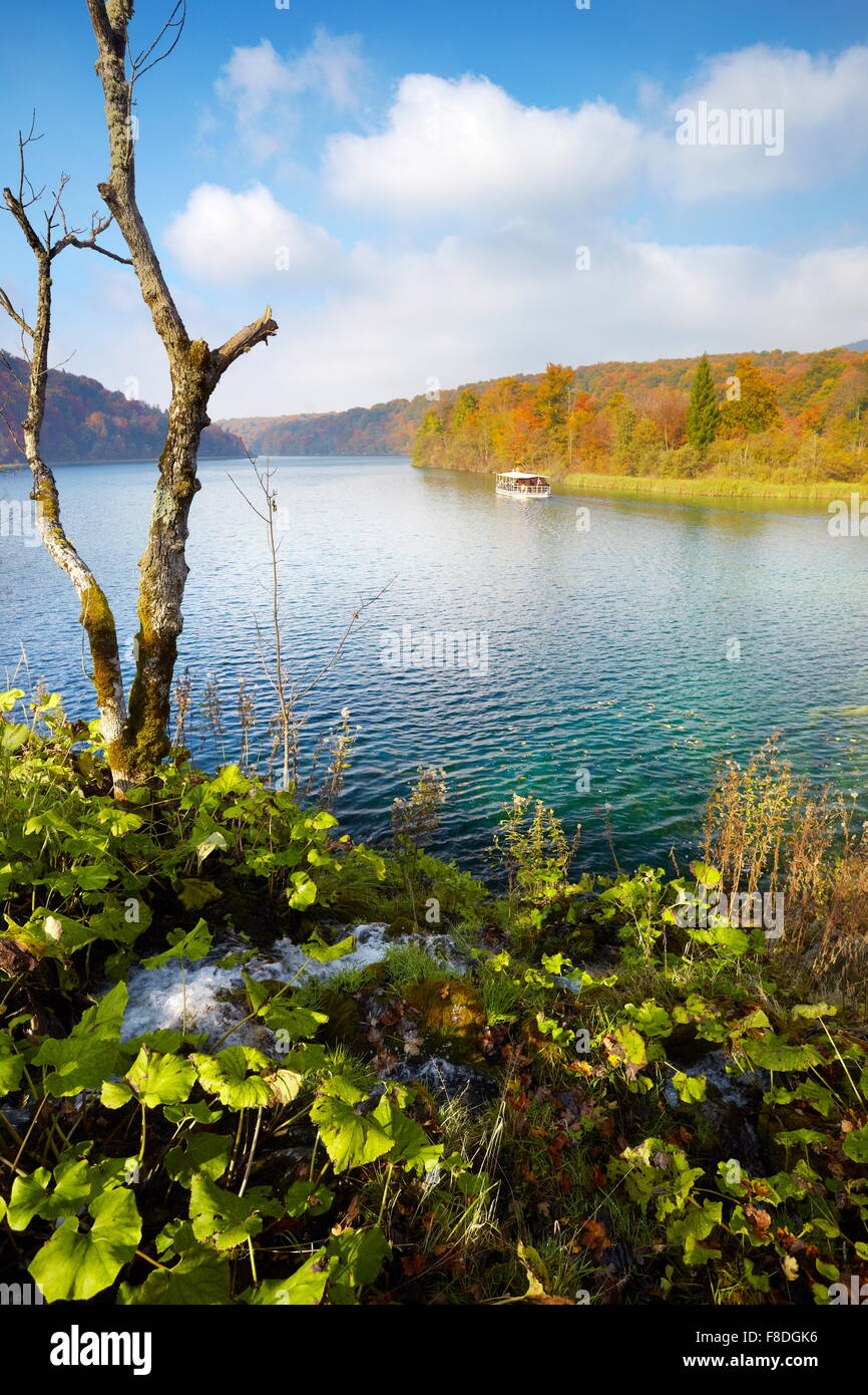 Le parc national des Lacs de Plitvice, Croatie, l'UNESCO Banque D'Images