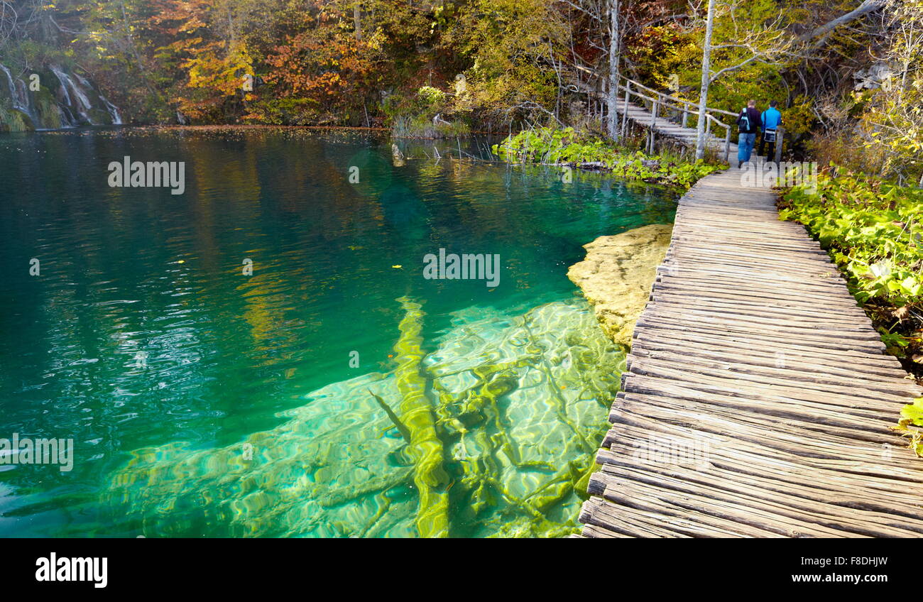 Sentier de randonnée, le parc national des Lacs de Plitvice, Croatie, Europe Banque D'Images