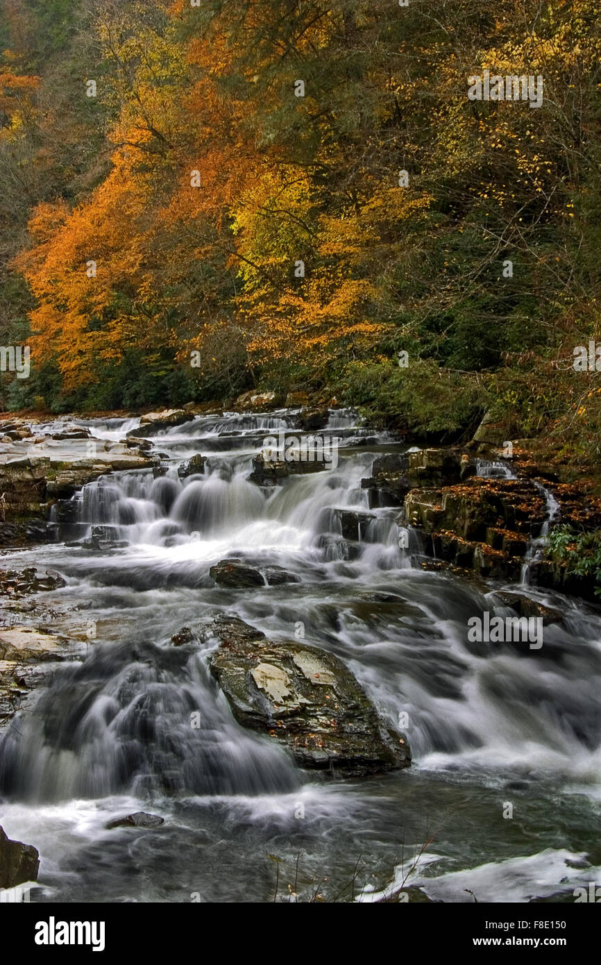 Splendeur d'automne et de chutes d'eau sur la partie supérieure du fleuve de Nantahala en Caroline du Nord. Banque D'Images
