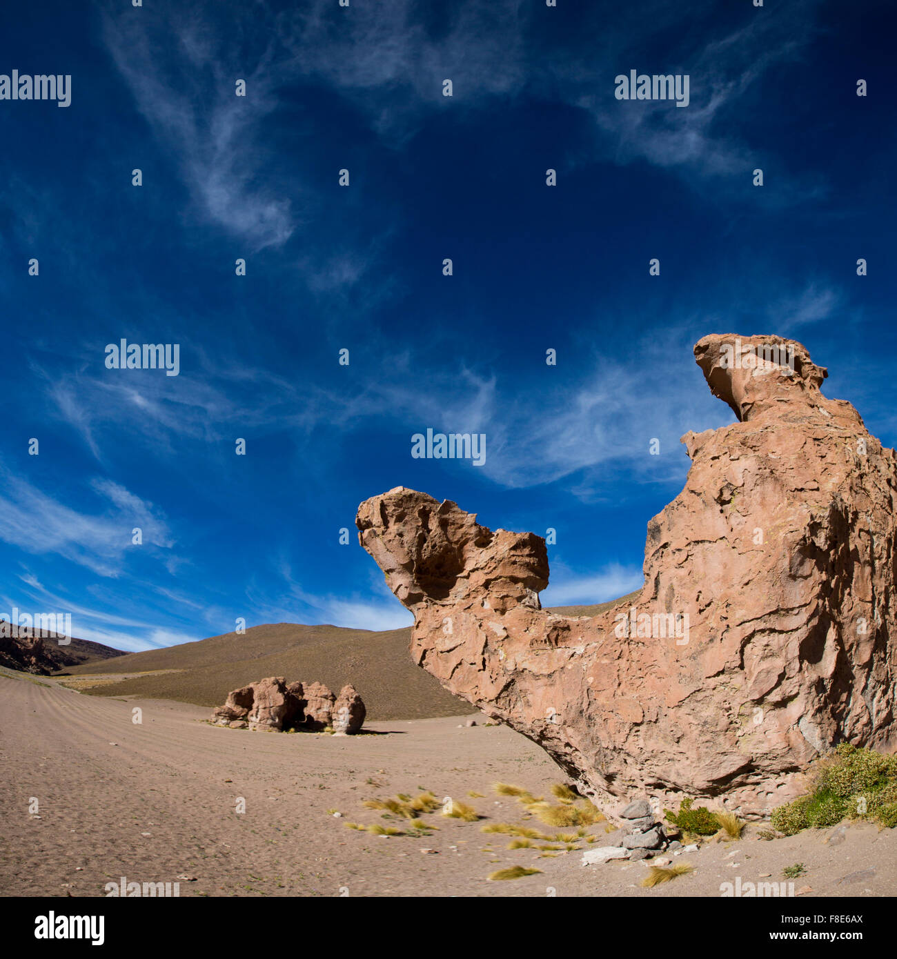 Rock formation géologique avec la forme d'un chameau contre un ciel bleu clair. La Bolivie Banque D'Images