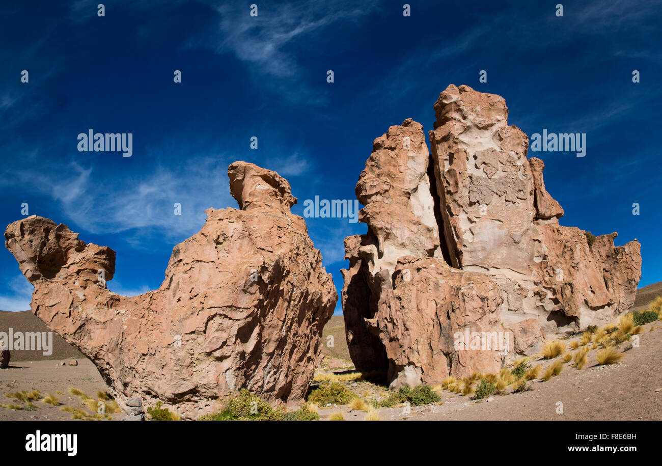 Rock formation géologique avec la forme d'un chameau contre un ciel bleu clair. La Bolivie Banque D'Images