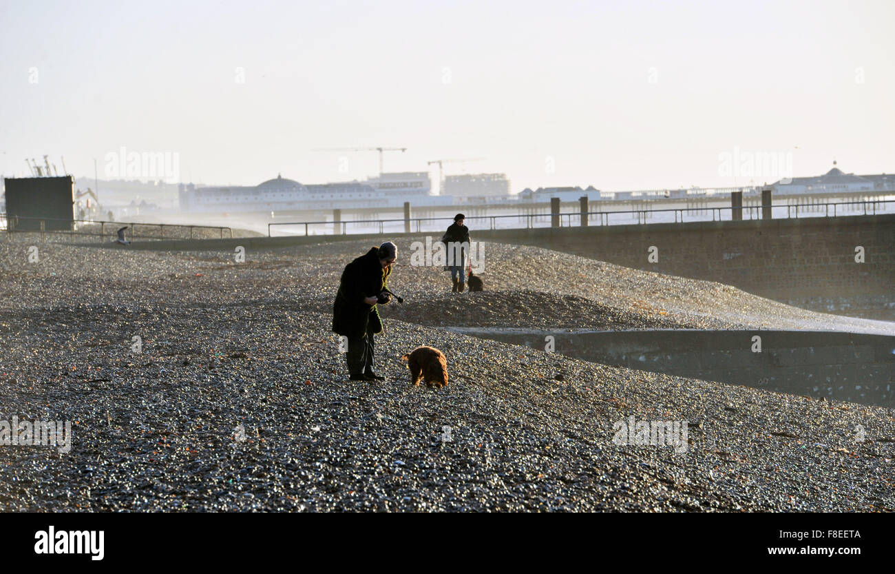 Brighton, Royaume-Uni. Les marcheurs pour chiens profitent du soleil d'hiver sur la plage de Brighton tôt ce matin, en contraste saisissant avec le mauvais temps et les inondations qui se sont envenimées dans le nord-ouest Credit: Simon Dack/Alay Live News Banque D'Images