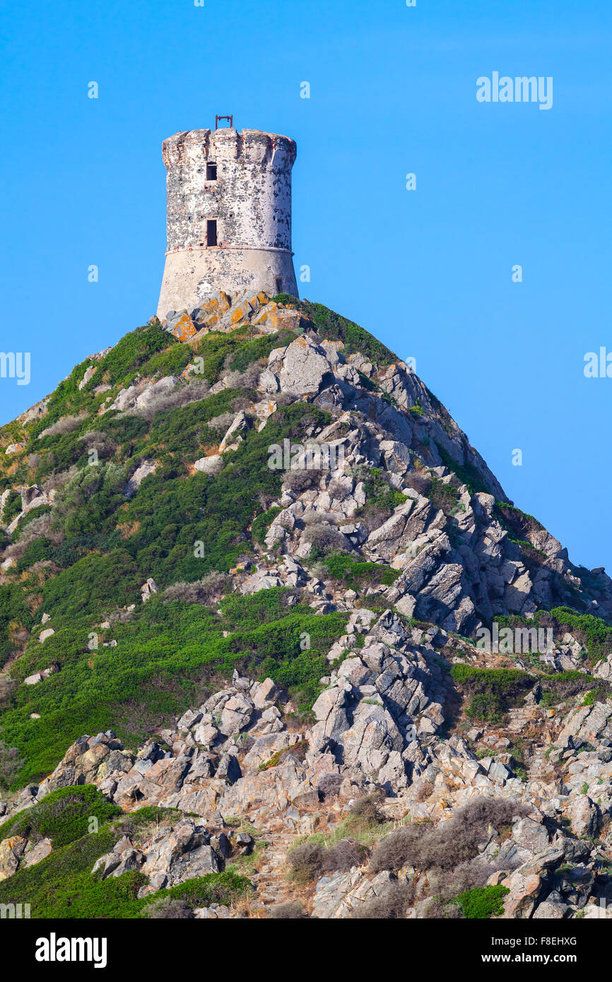 Parata Tour. L'ancienne tour génoise sur le rocher. Presqu'île sanguinaires près d'Ajaccio, Corse, France Banque D'Images