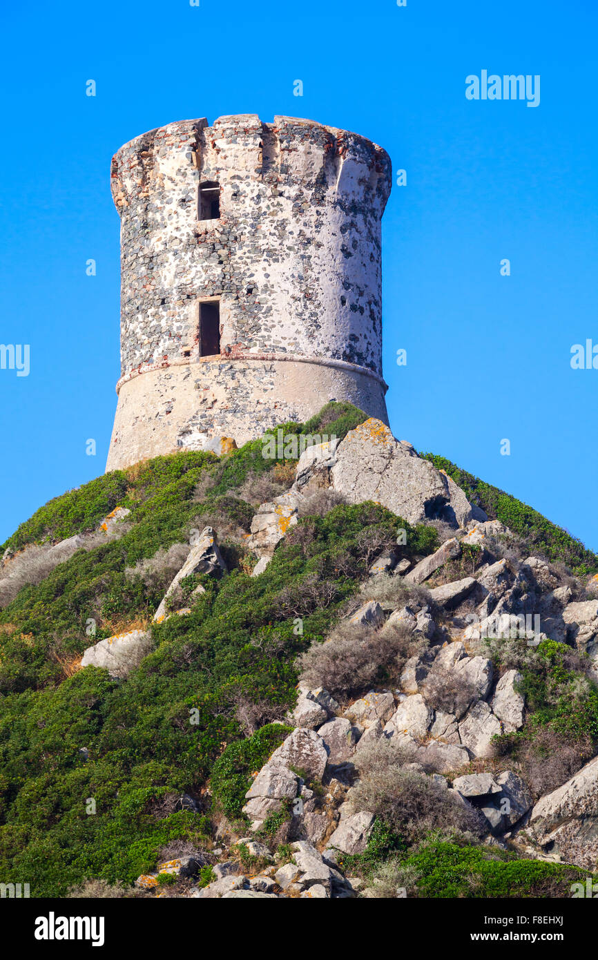 Parata Tour. L'ancienne tour génoise sur le rocher de l'île Sanguinaires près d'Ajaccio, Corse, France Banque D'Images