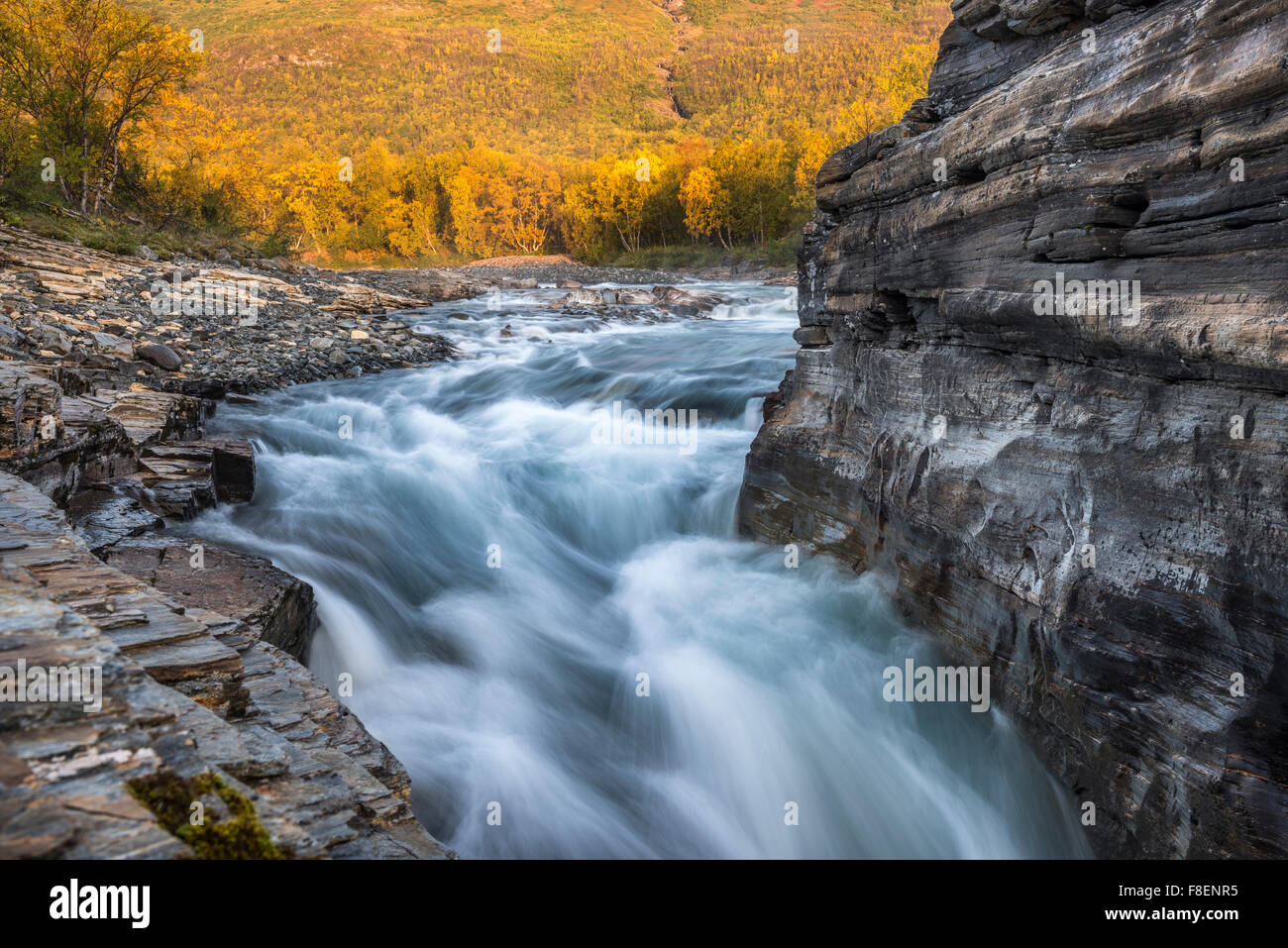 Abisko Canyon en automne, Abiskojåkka, Abisko National Park, Lapland, Sweden Banque D'Images
