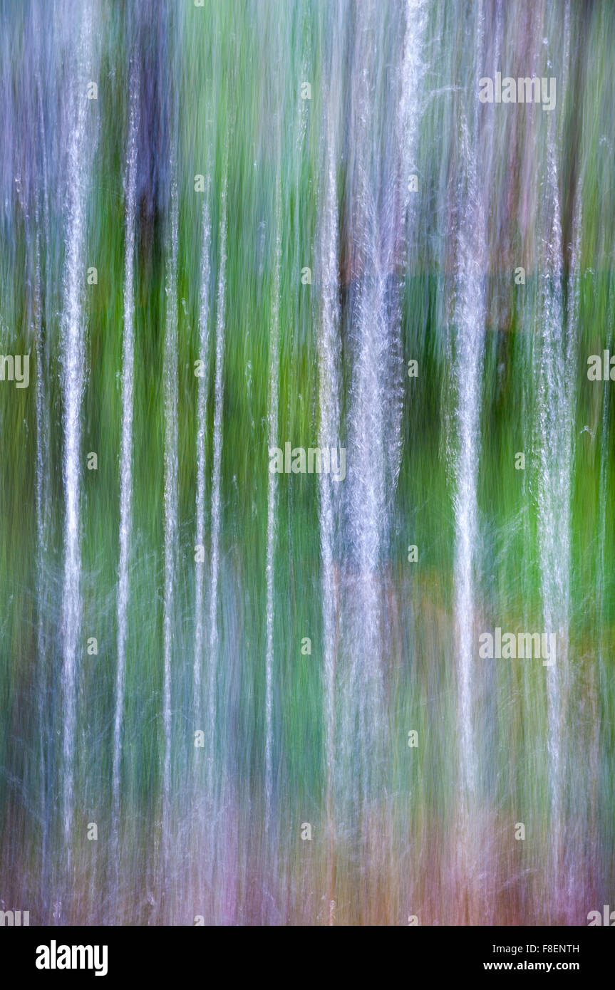Image abstraite de la chute d'eau. Des sentiers de minces dans une cascade naturelle avec des couleurs naturelles. Banque D'Images