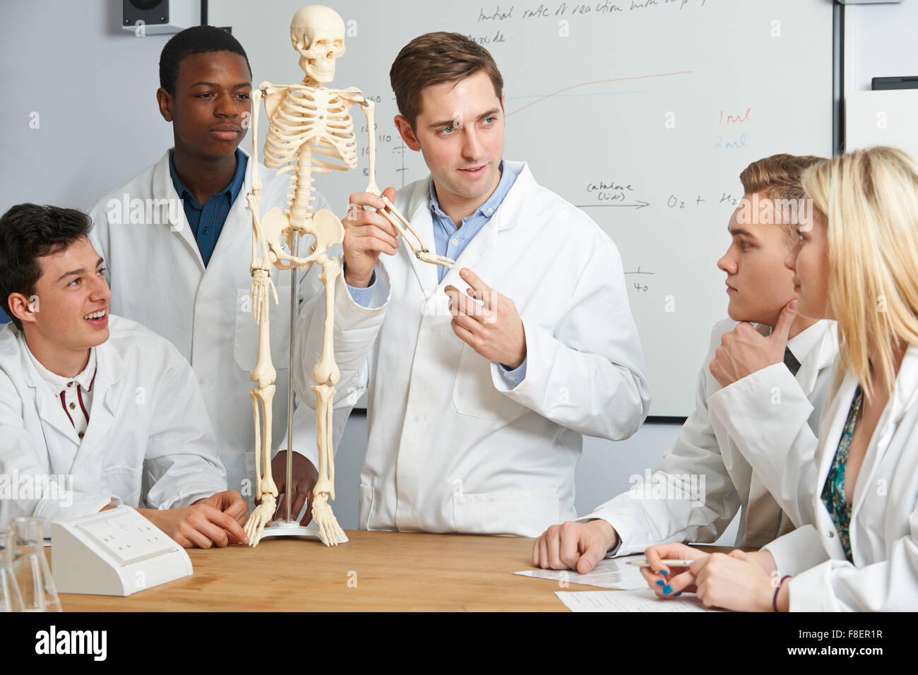 Avec l'enseignant modèle de squelette humain dans la classe de biologie Banque D'Images
