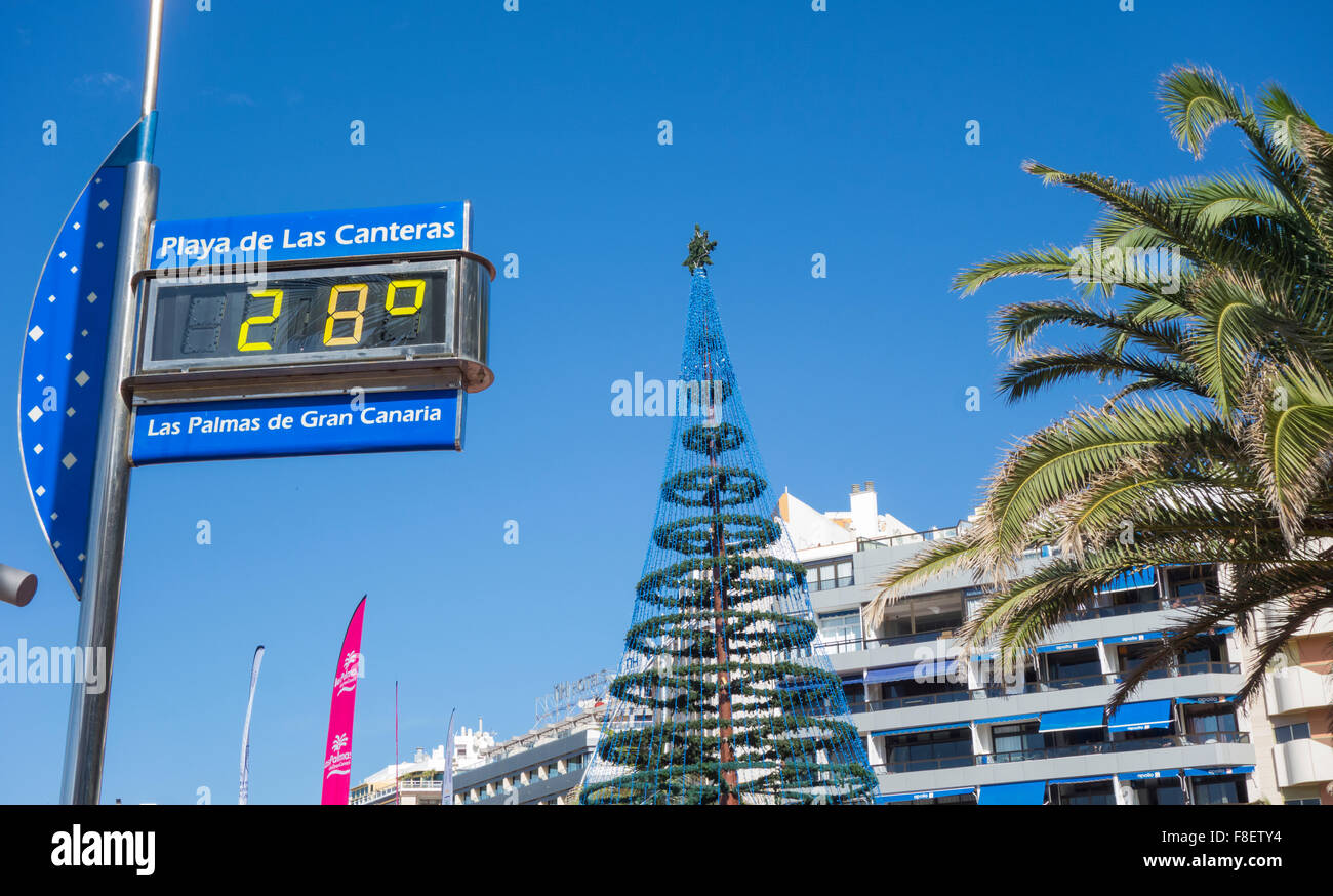 Las Palmas, Gran Canaria, Îles Canaries, Espagne. 9 Décembre, 2015. Météo :  arbre de Noël sur la plage, le mercure a atteint 28 degrés Celsius sur une  glorieuse mercredi à Las Palmas,