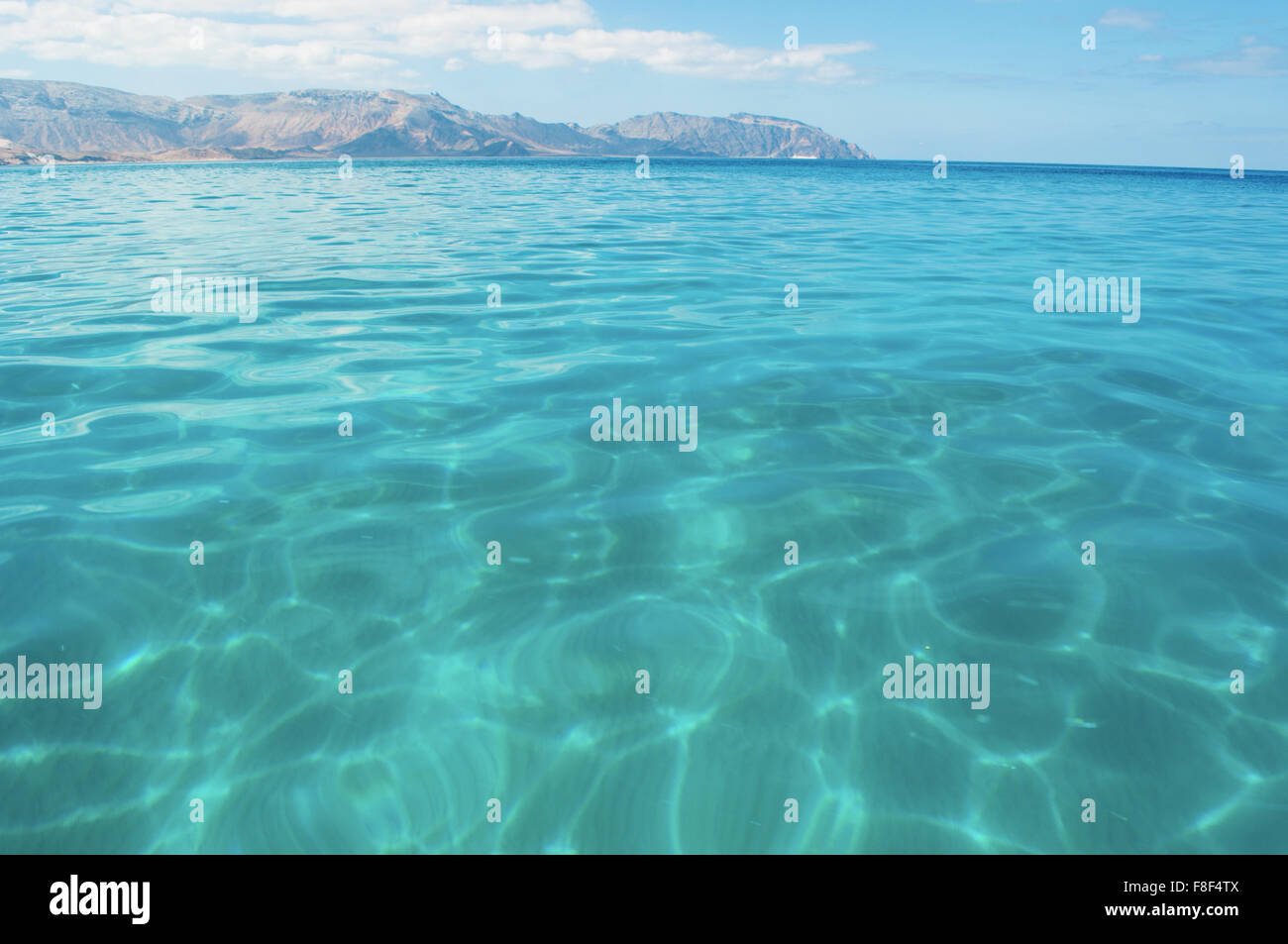 La zone protégée de Shauab plage, golfe d'Aden, la mer d'Oman, l'île de Socotra, au Yémen, au Moyen-Orient. La biodiversité unique Banque D'Images