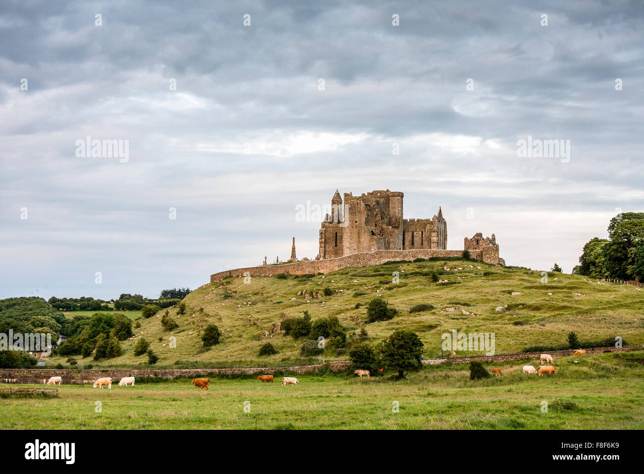 Le rocher de Cashel, historique monument irlandais. Comté de Tipperary, Irlande Banque D'Images