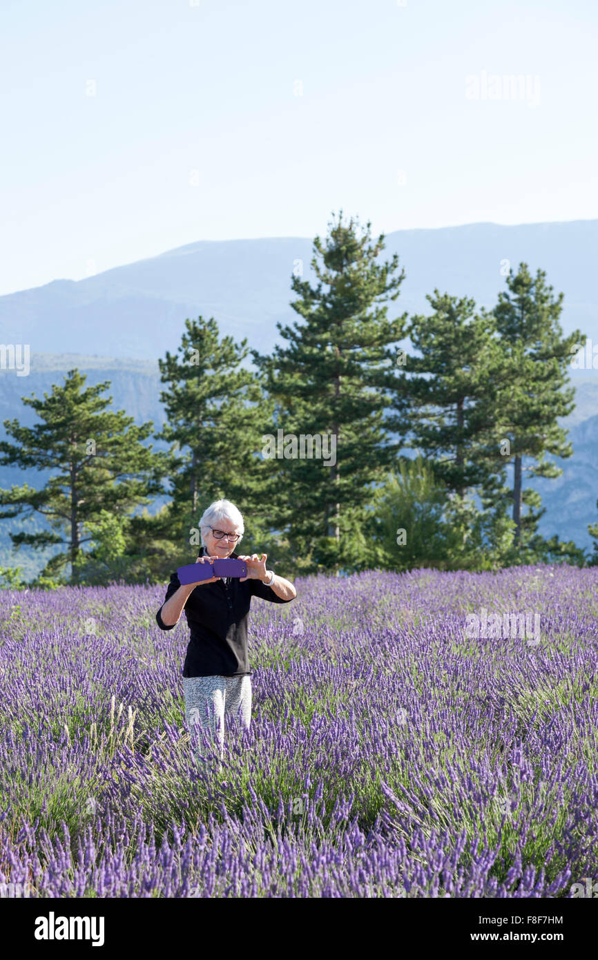 Une dame'immortalisant une vue exceptionnelle : la pleine floraison juin d'un champ de lavande hybride, dans la Provence (France). Banque D'Images