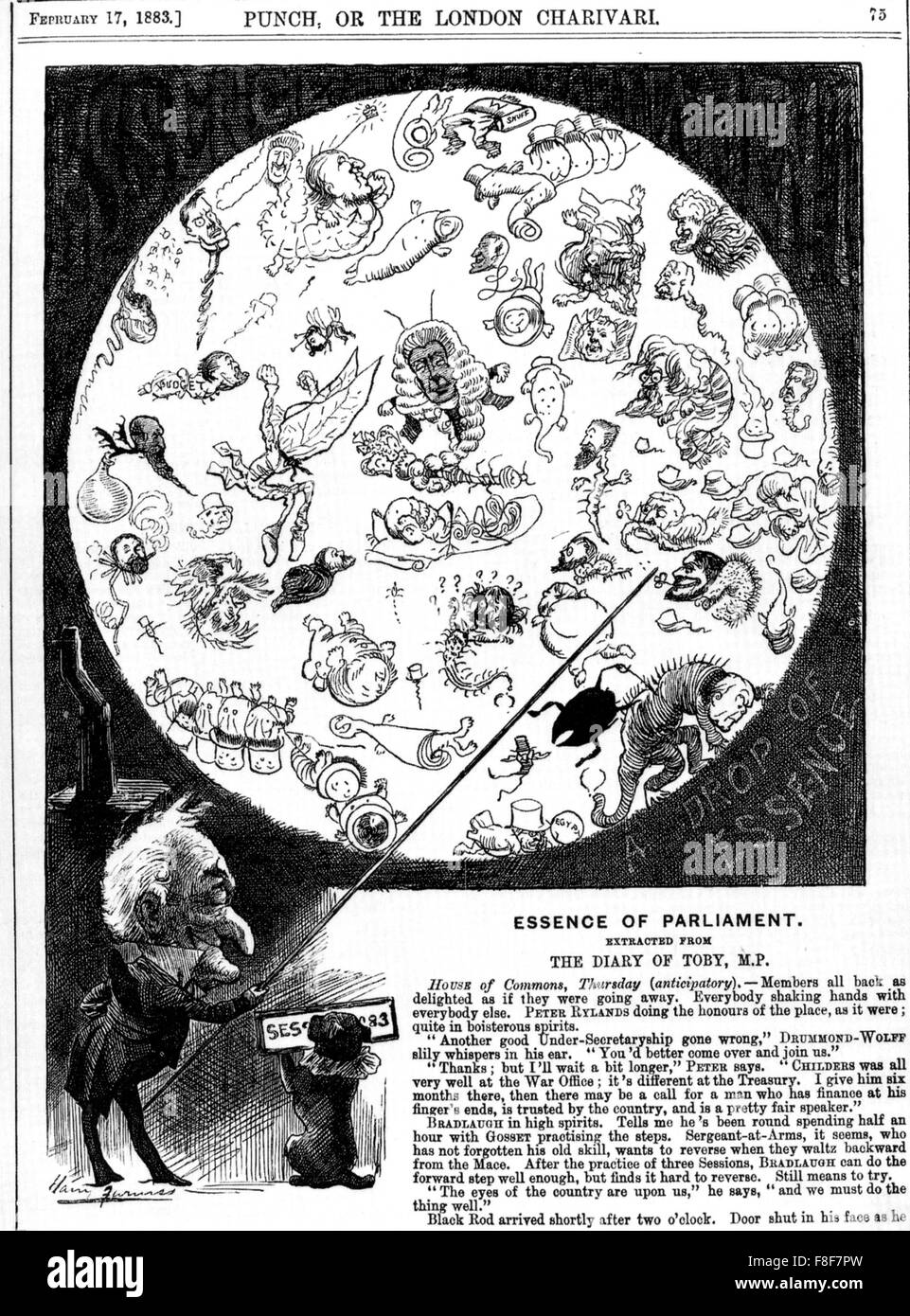 L'ESSENTIEL DU PARLEMENT une caricature d'un poinçon de février 1883 s'appuyant sur les récentes découvertes scientifiques pour montrer les hommes politiques parce que les microbes Banque D'Images