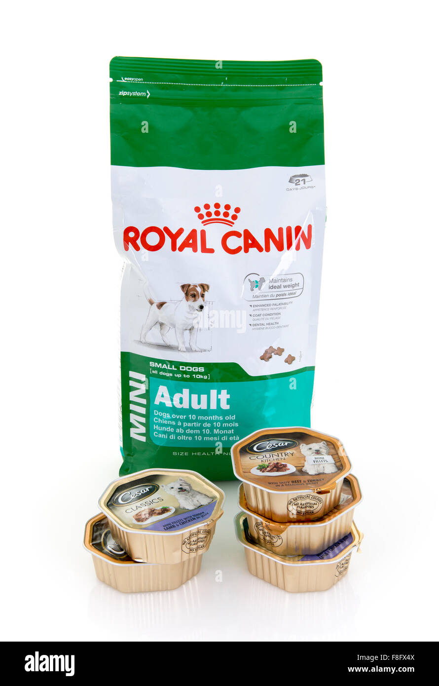 Pack de 2 kg de Royal Canin Mini Adult et Cesar Nourriture pour chien sur un fond blanc Banque D'Images
