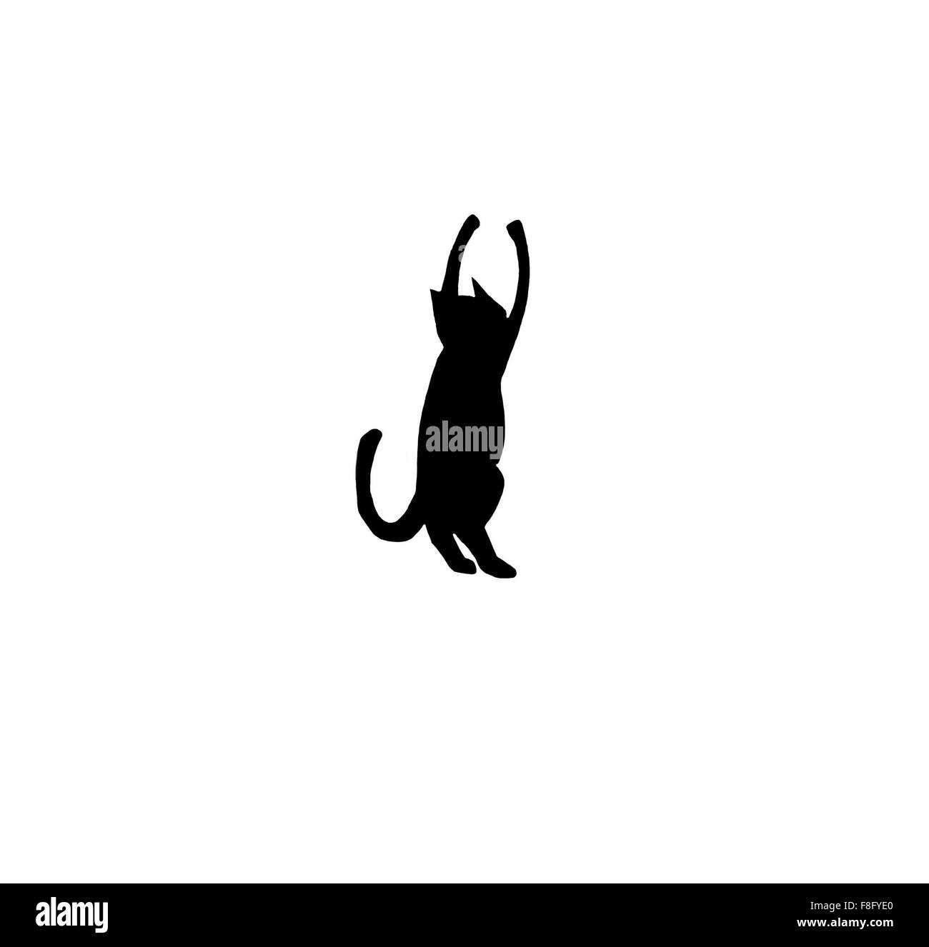 Chat jouant Banque D'Images Chat jouant Banque D'Images