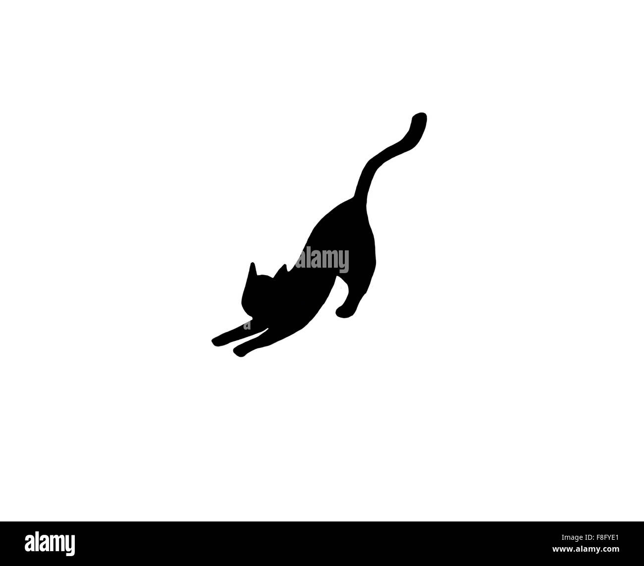 Chat qui s’étend Banque D'Images Chat qui s’étend Banque D'Images
