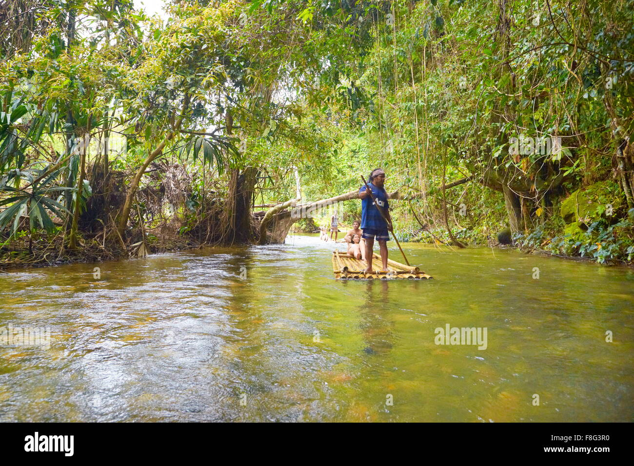 Thaïlande - Parc national de Khao Lak, Bamboo rafting dans les forêts tropicales Banque D'Images