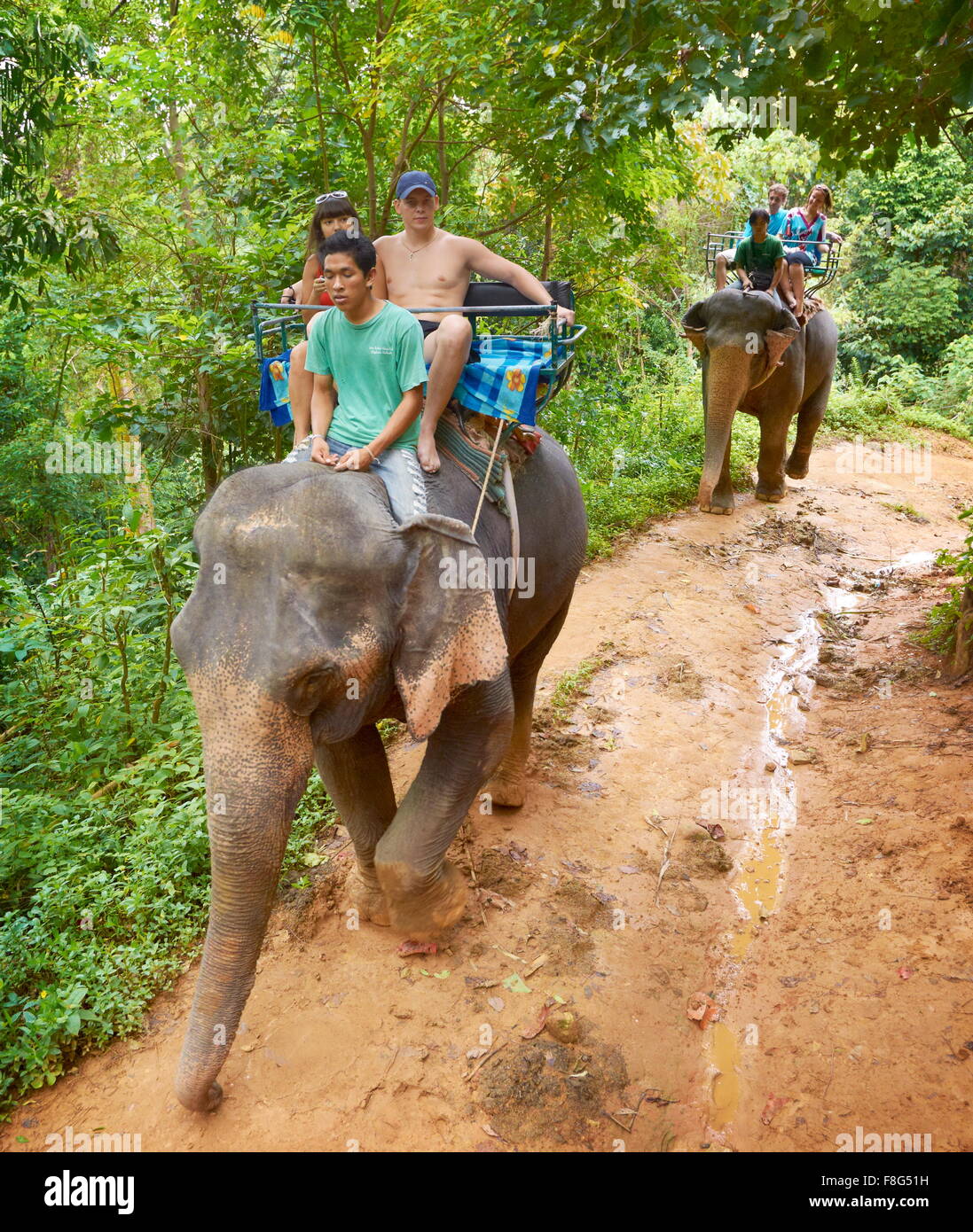 Thaïlande - Khao Lak, Parc National de l'équitation d'éléphant dans la forêt tropicale Banque D'Images