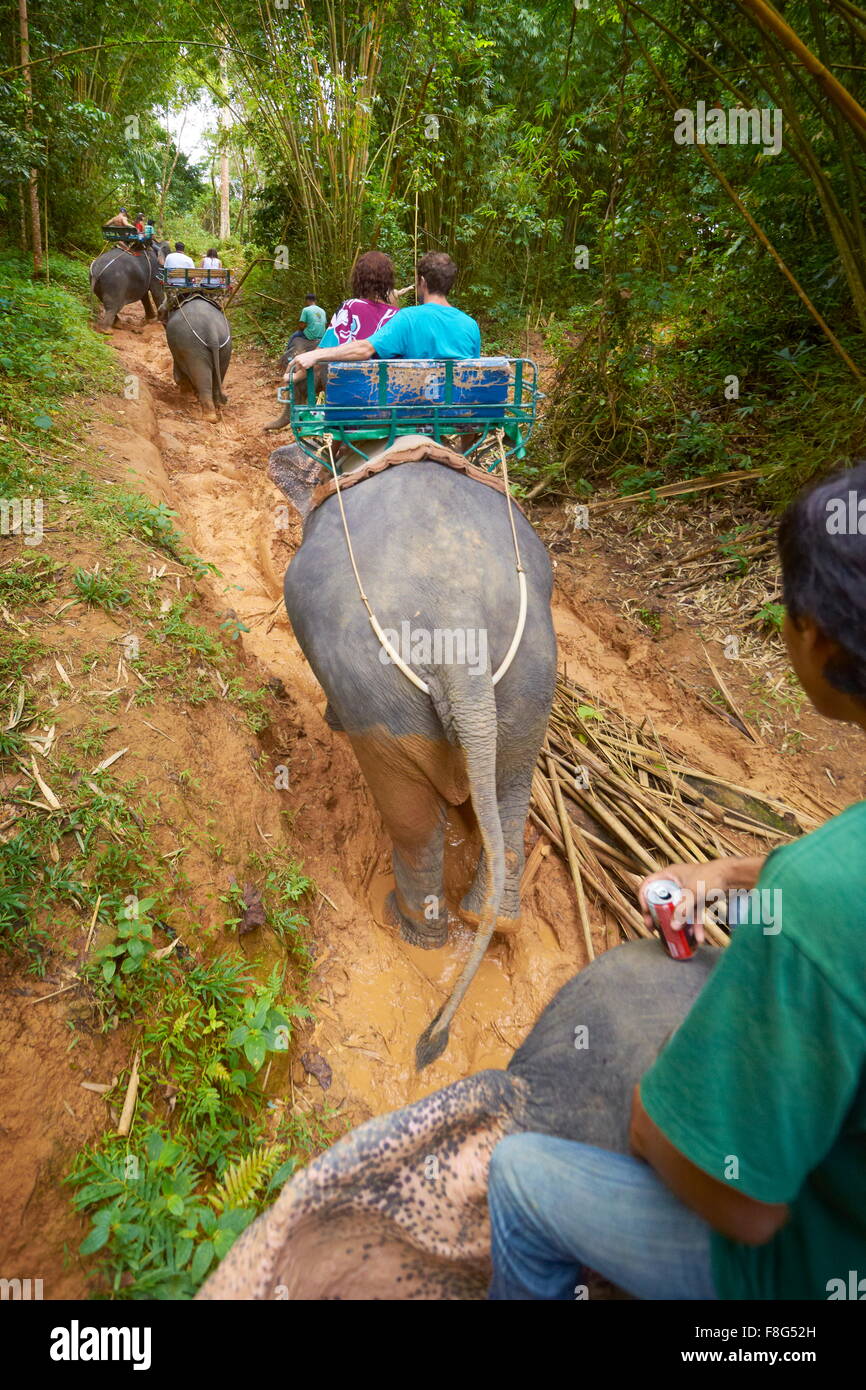 Thaïlande - Khao Lak, Parc National de l'équitation d'éléphant dans la forêt tropicale Banque D'Images