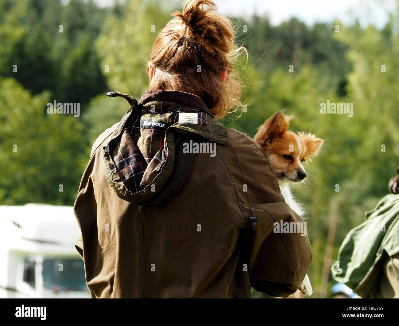 Vue arrière de femme anonyme en pays jacket holding petit chien dans ses bras au show Banque D'Images