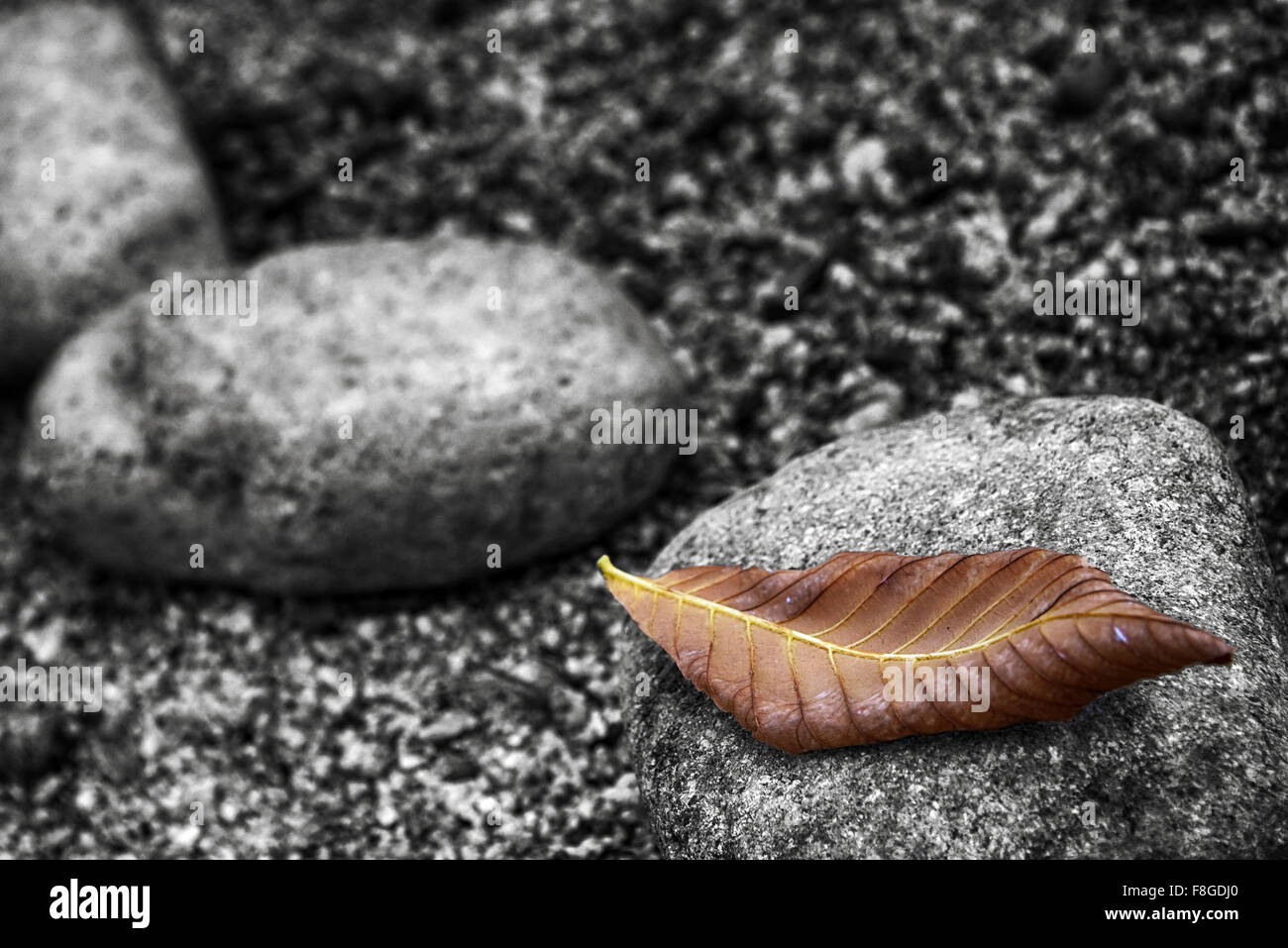 Vie et au-delà Banque D'Images