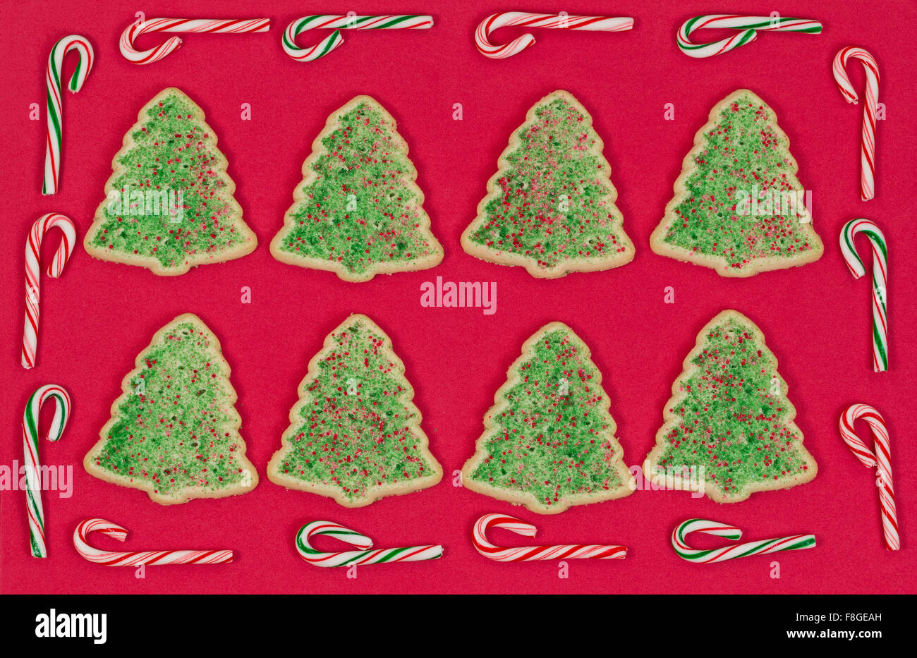 Les cookies en forme d'arbre de Noël organisé sur fond rouge avec bordure de canne. Banque D'Images