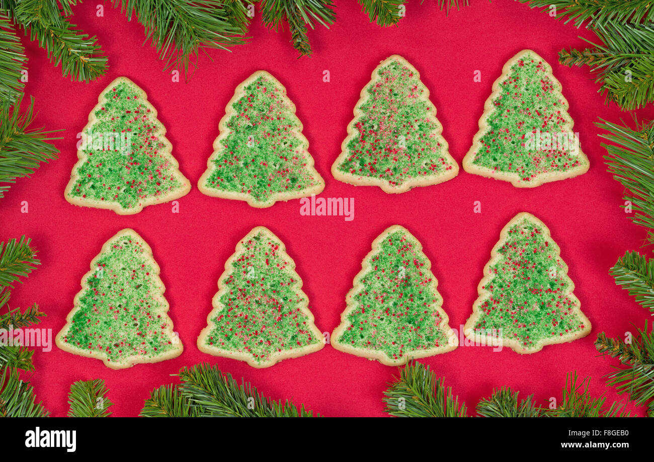 Les cookies en forme d'arbre de Noël organisé sur fond rouge et evergreen frontière. Banque D'Images