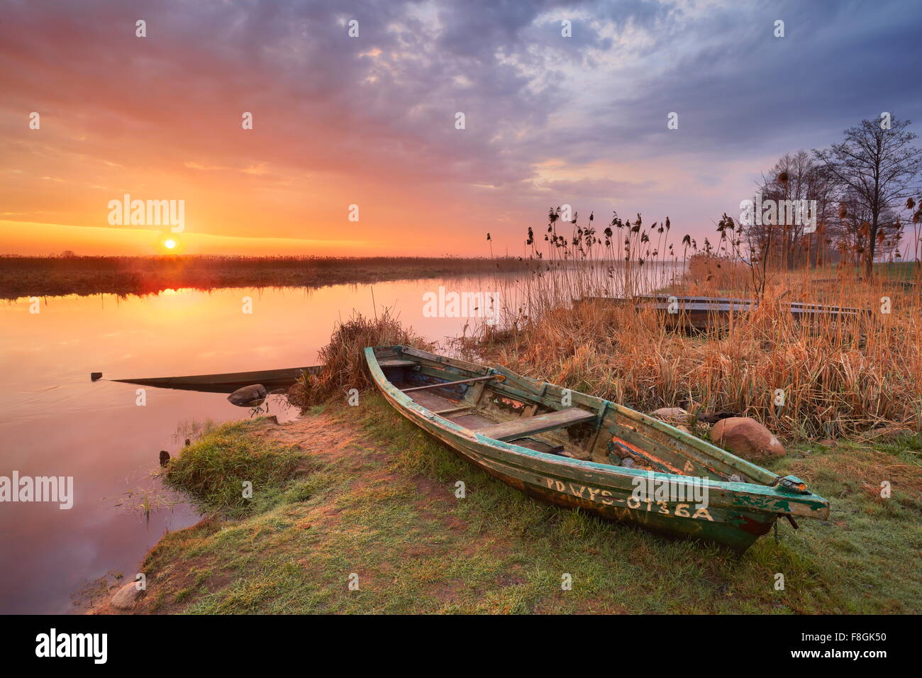 Lever du soleil paysage à Narew National Park, Pologne Banque D'Images