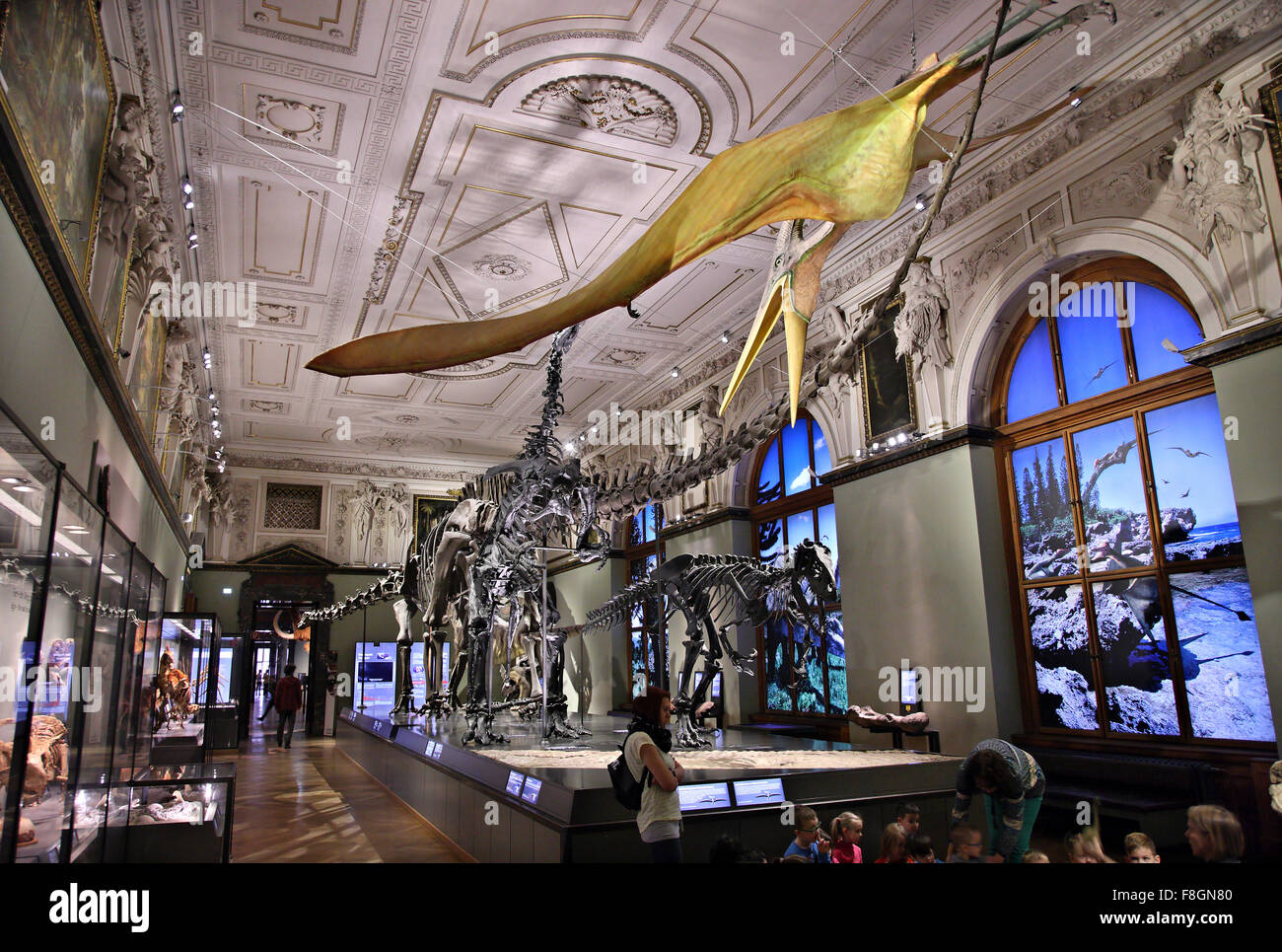 Dans la salle des dinosaures, Musée d'Histoire Naturelle (Naturhistorisches Museum'), Vienne, Autriche. Banque D'Images