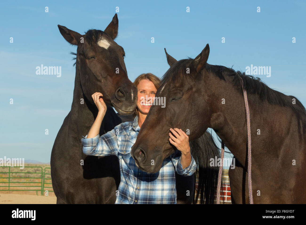 Éleveur de chevaux de race blanche avec sourire Banque D'Images