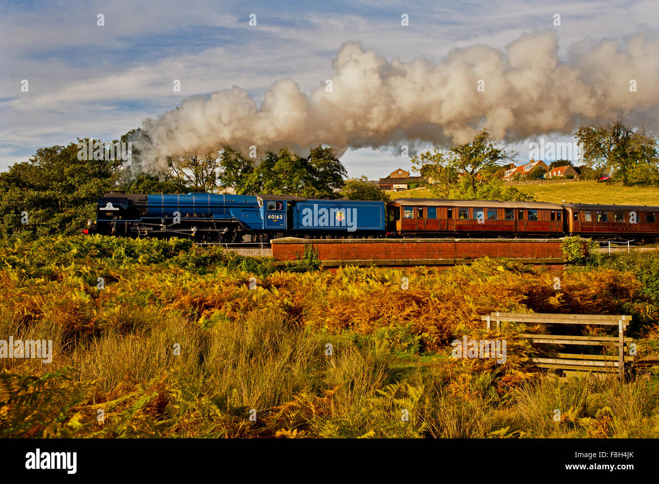 A1 Moteur Classe No 60163 Darnholme à Tornade, North York Moors railway Banque D'Images