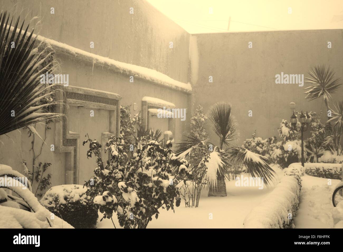 Le temps s'arrête en hiver, la neige recouvre les arbres dans un jardin Banque D'Images