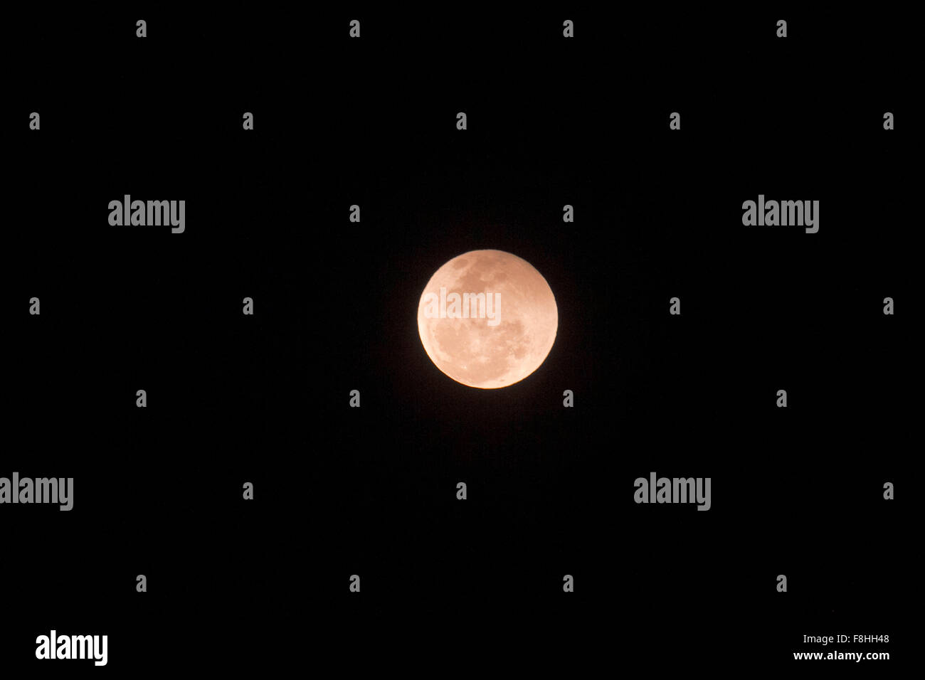 Une pleine lune vue sur une forêt nuit en Mhadei Wildlife Sanctuary. Banque D'Images