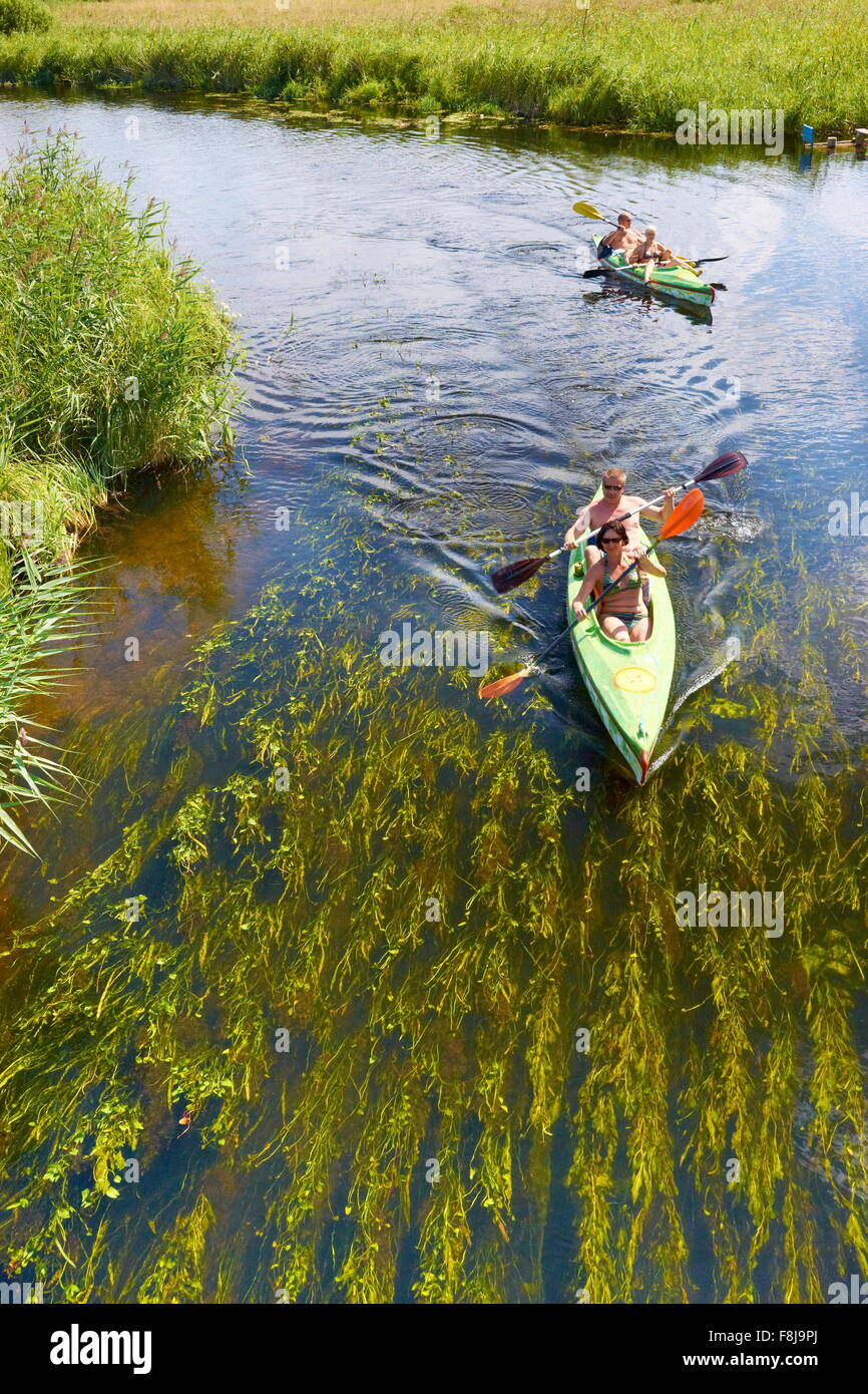 Kayak à la rivière Krutynia Mazurie, Région, Pologne Banque D'Images
