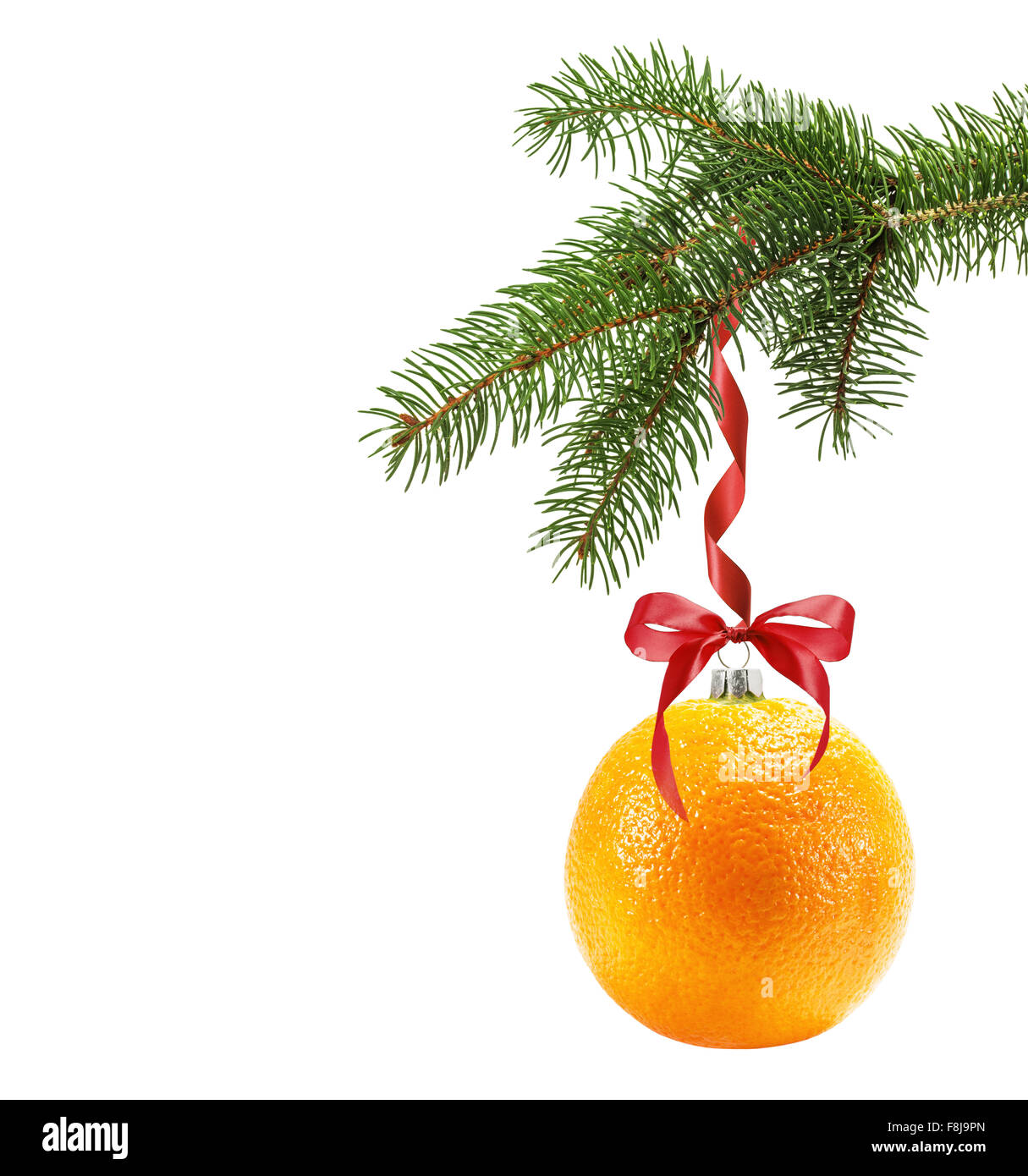 La direction générale de l'arbre de Noël avec boule de Noël en forme d'orange isolé sur fond blanc. Banque D'Images