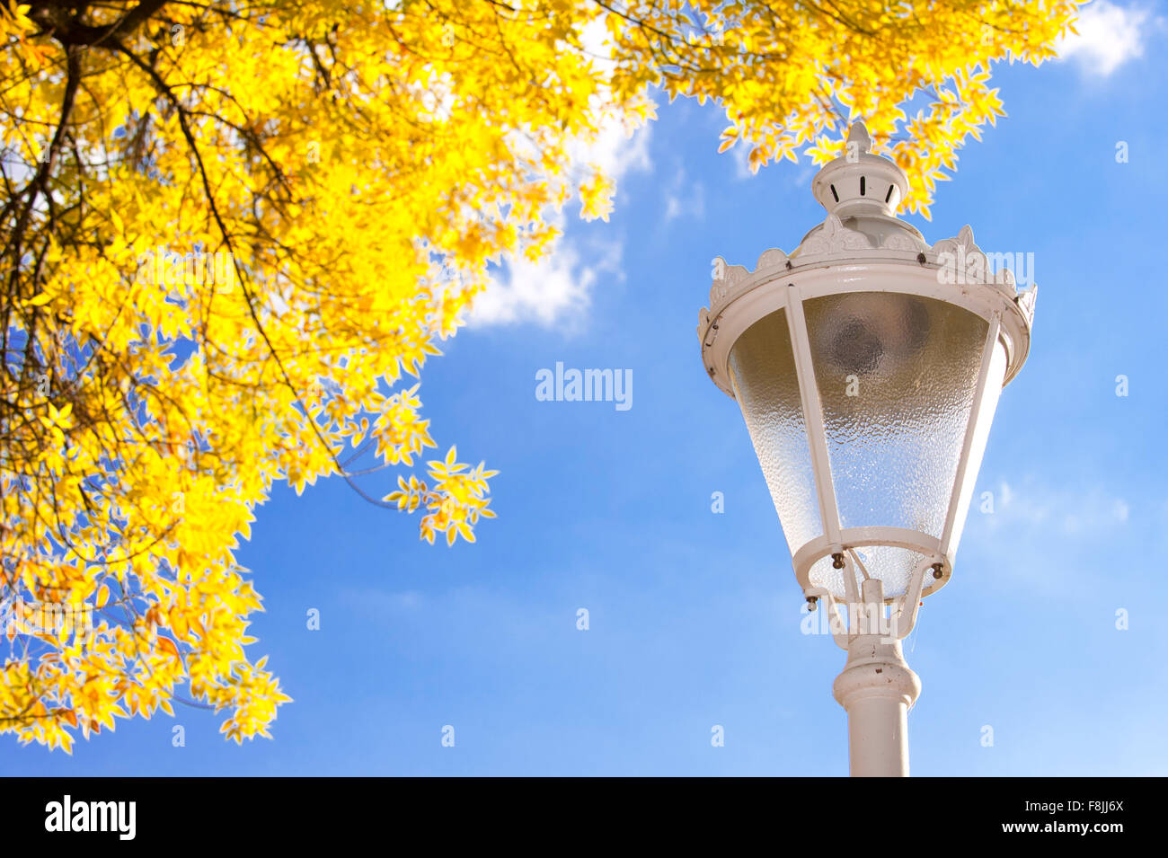 L'automne dans le parc Banque D'Images