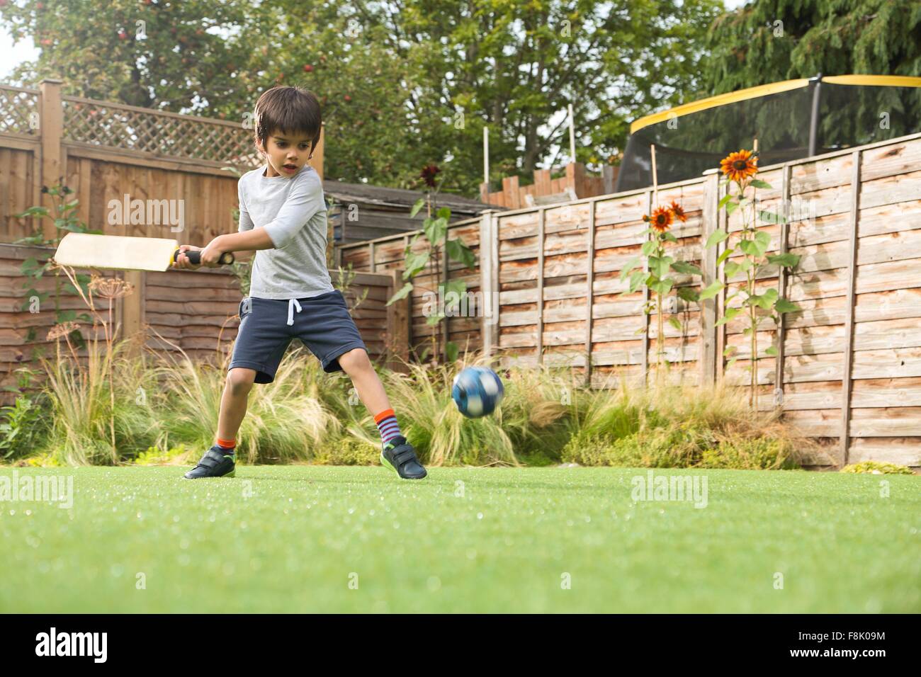 Boy playing cricket dans jardin, balle en l'air Banque D'Images