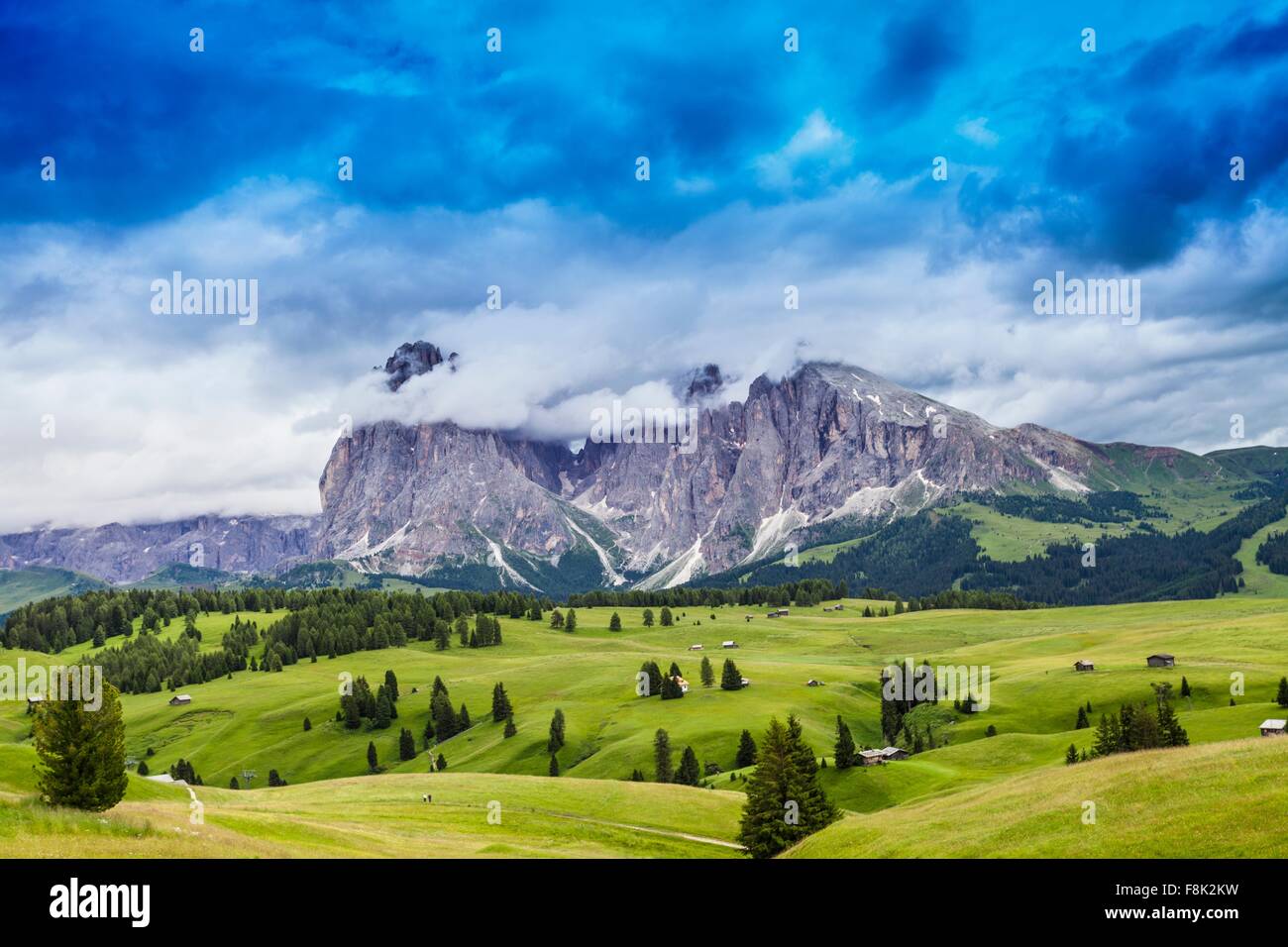 Champs et rock formation à distance, Dolomites, Italie Banque D'Images