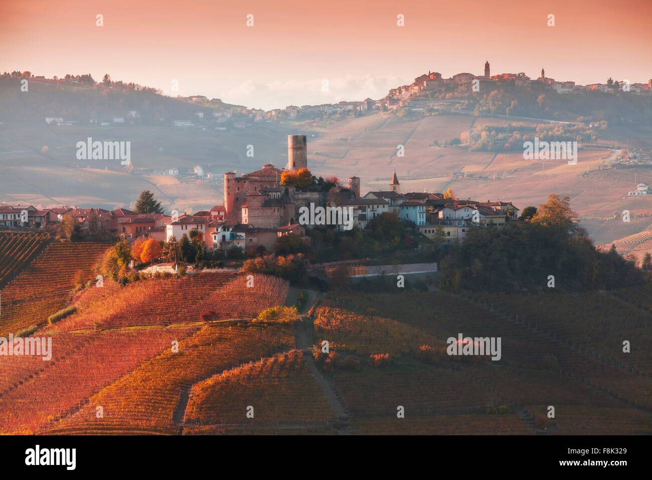 Portrait de vignobles et hill town, Langhe, Piémont Italie Banque D'Images