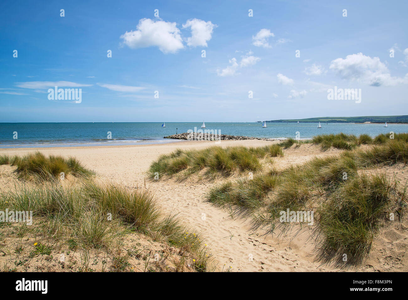 Belle plage de dunes de sable et de paysage sur journée ensoleillée Banque D'Images