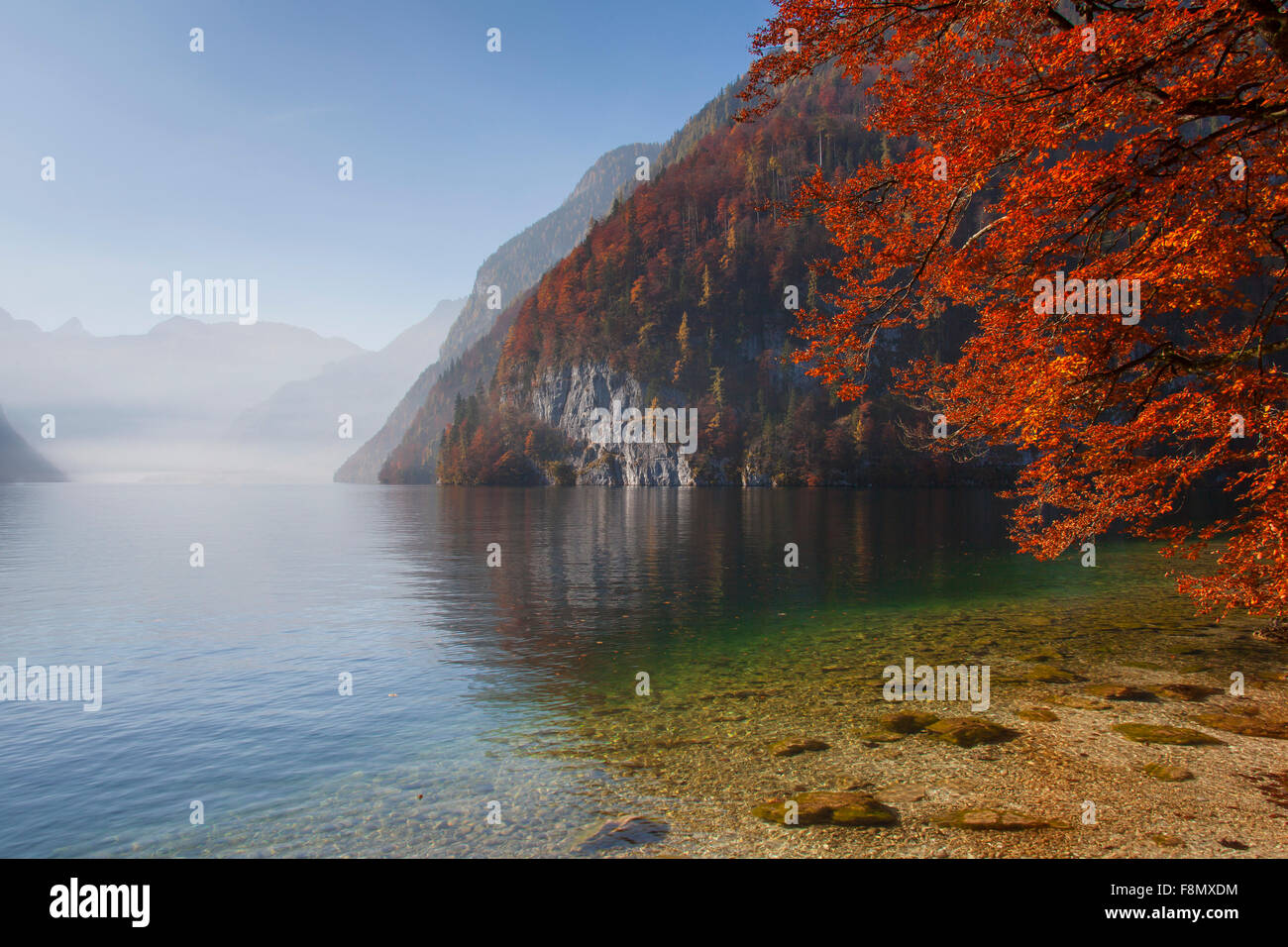 Le lac Königssee en automne vu du Malerwinkel dans le parc national de Berchtesgaden, Alpes, Bavière, Allemagne Banque D'Images