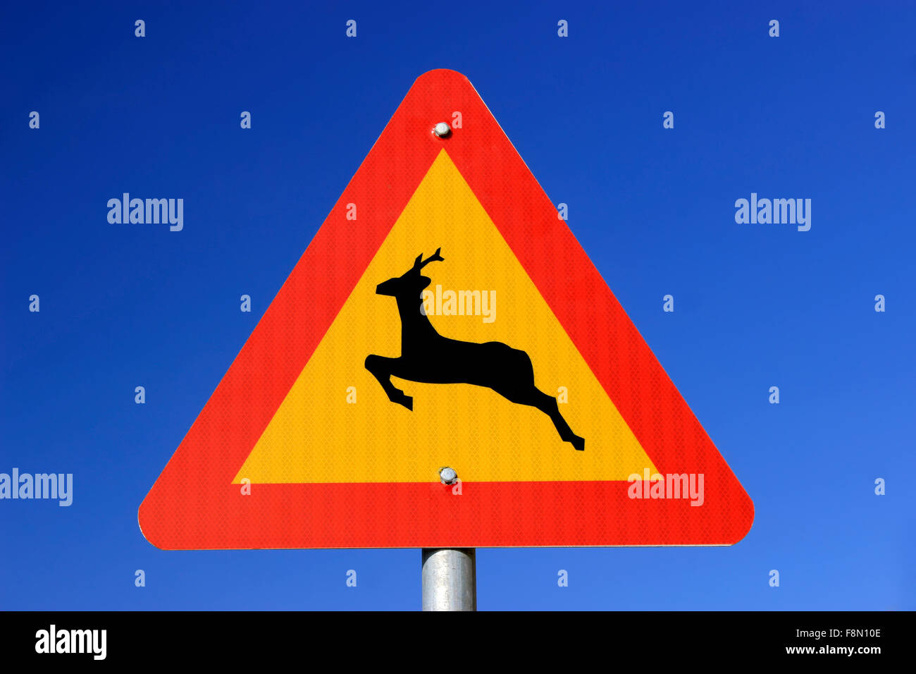 Deer(s) / d'avertissement de passage à niveau signalisation routière attention gros plan de symbole. L'île de Lemnos, Grèce Banque D'Images