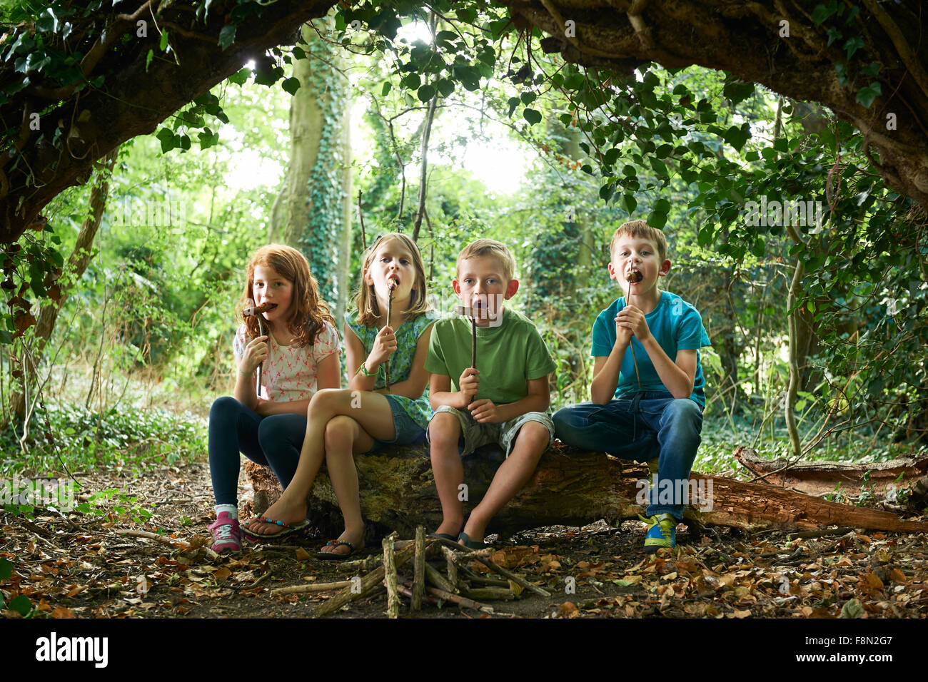 Groupe d'enfants de manger les saucisses dans le camp des bois Banque D'Images