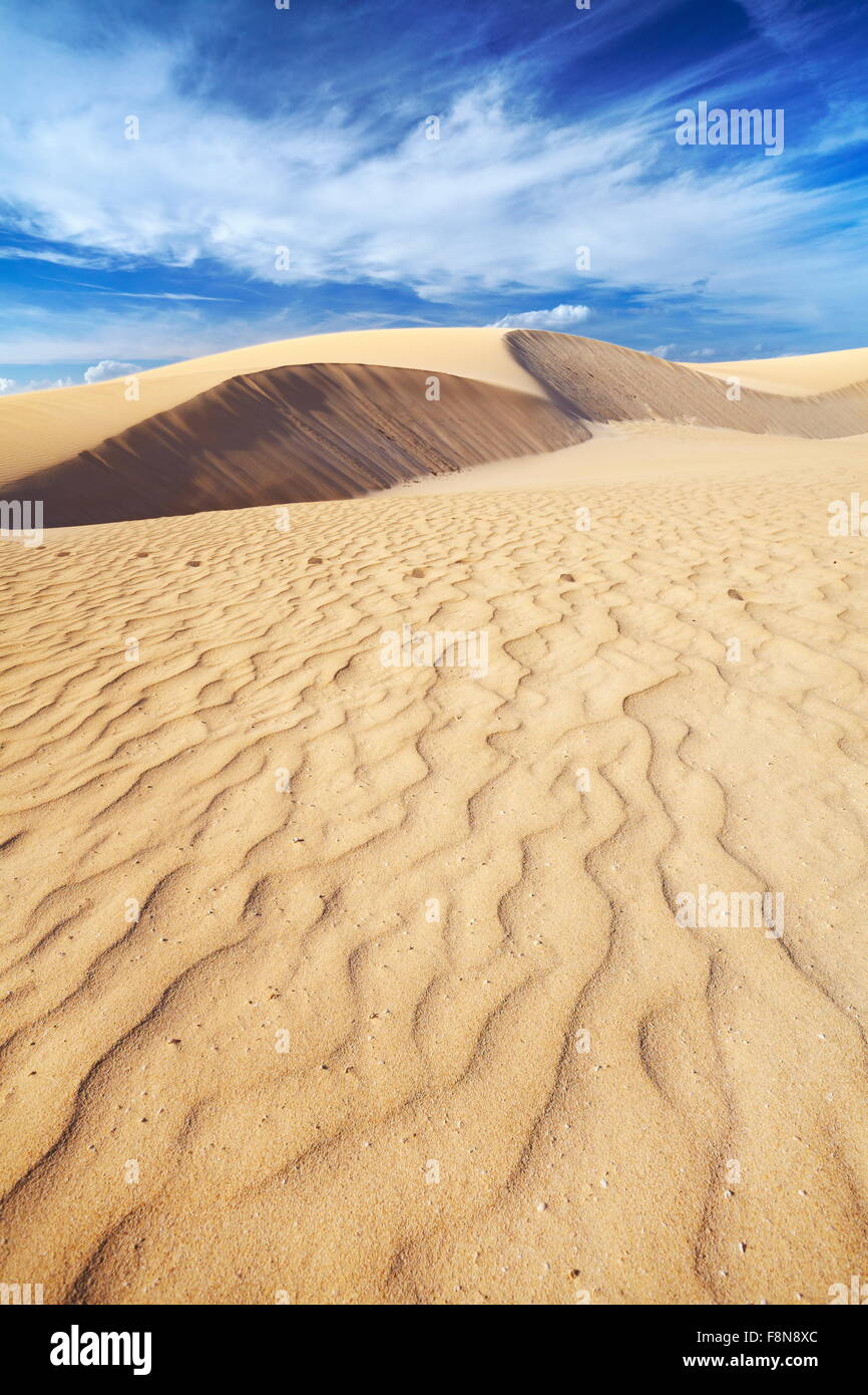 Paysage de dunes de sable dans le parc naturel de Corralejo, Fuerteventura, Îles Canaries, Espagne Île Banque D'Images