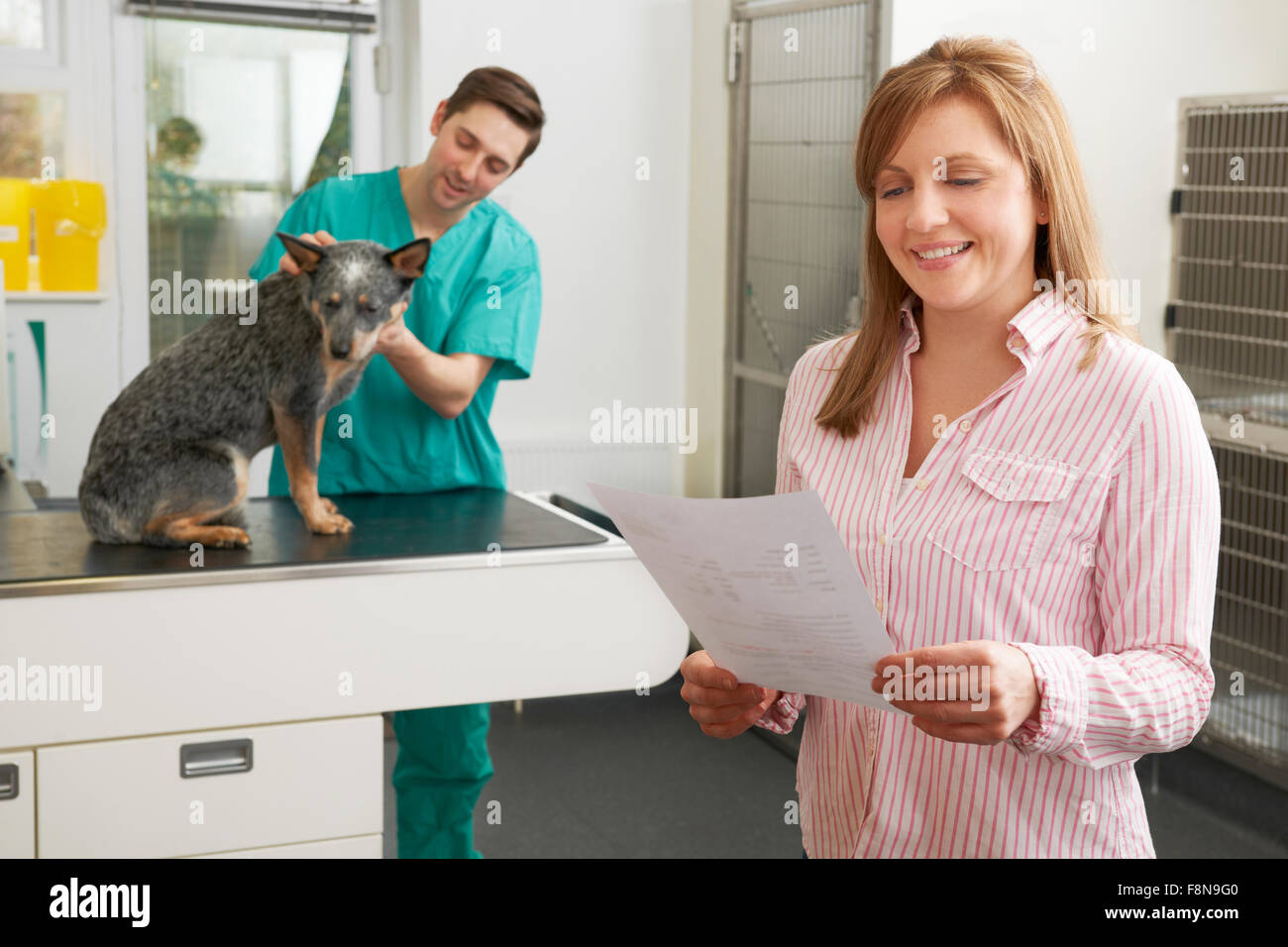 Happy Woman Looking At Bill en chirurgie vétérinaire Banque D'Images